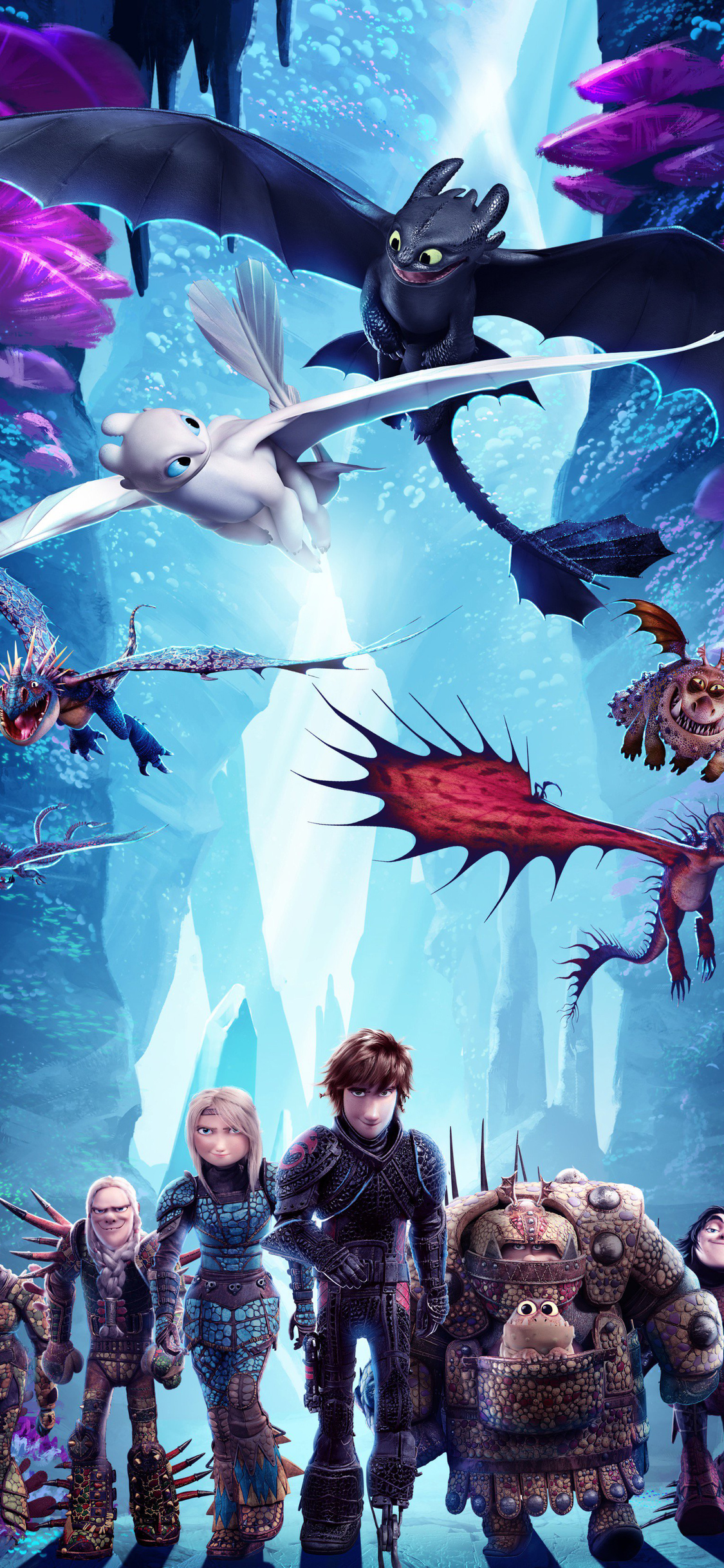 How To Train Your Dragon The Hidden World Night