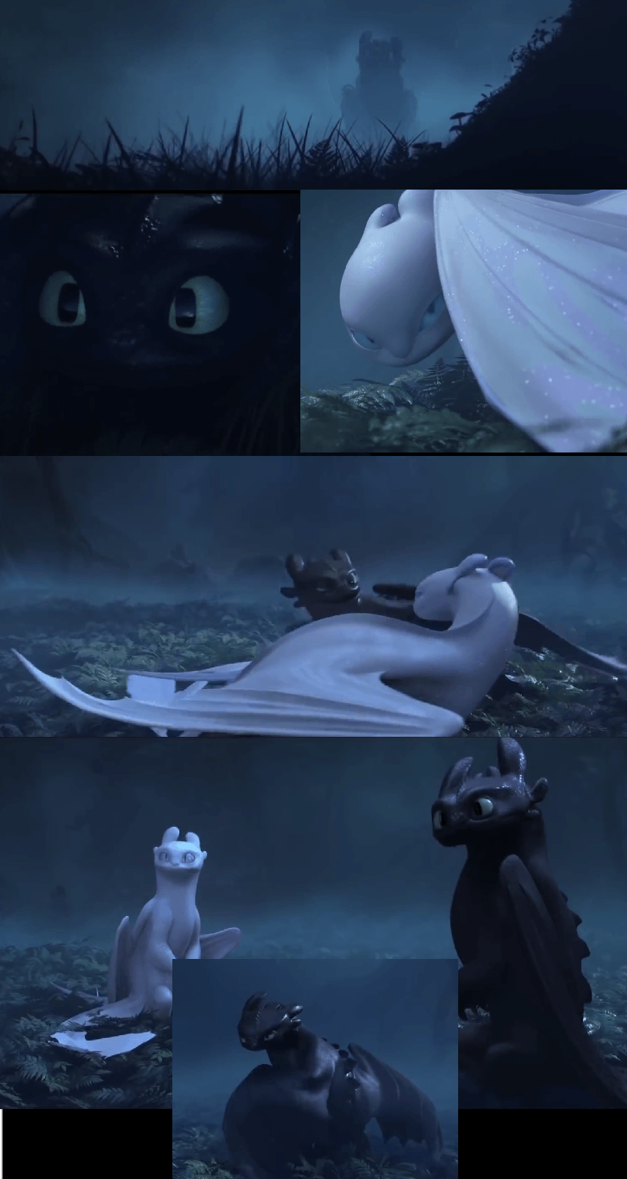 Toothless meets a light fury! Picture from the original