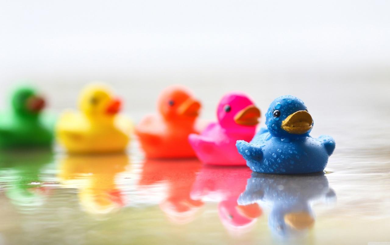 Cute Colourful Rubber Ducks wallpaper. Cute Colourful