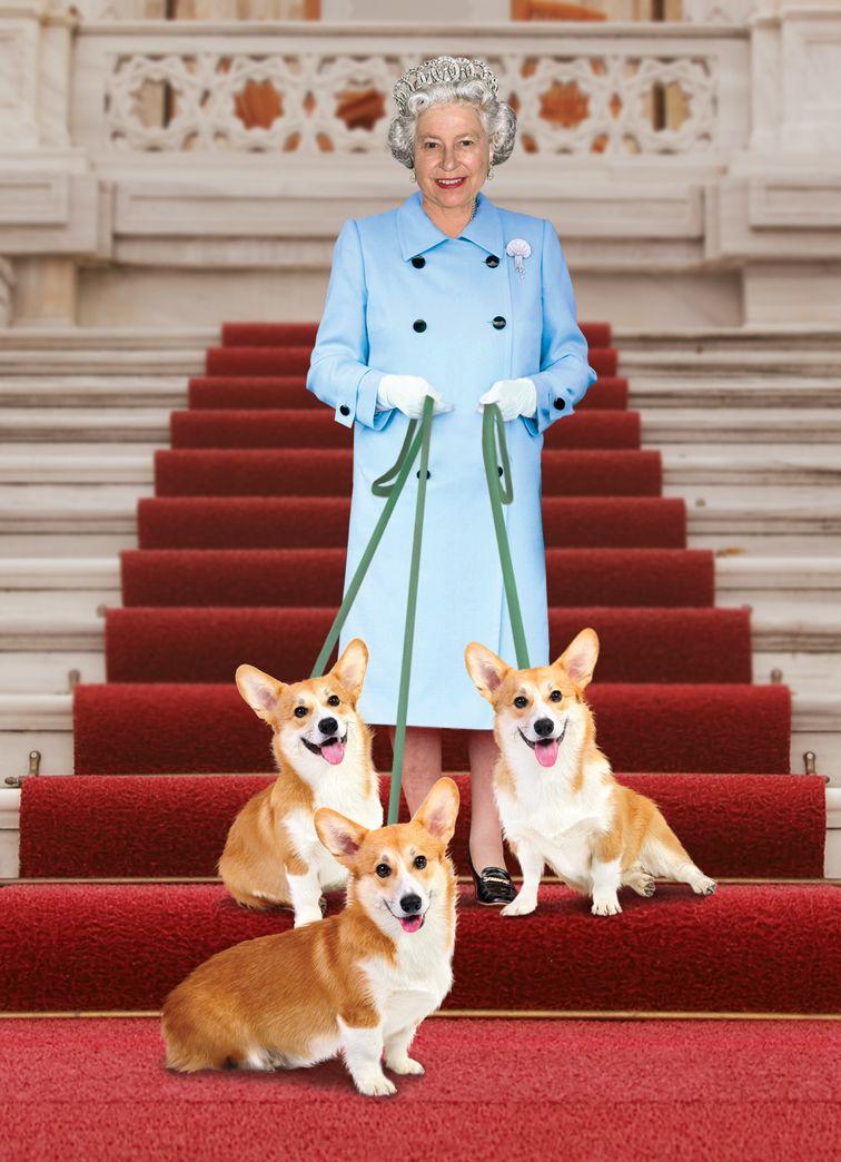 Queen Elizabeth ll & her Corgis. British Royalty. Corgi