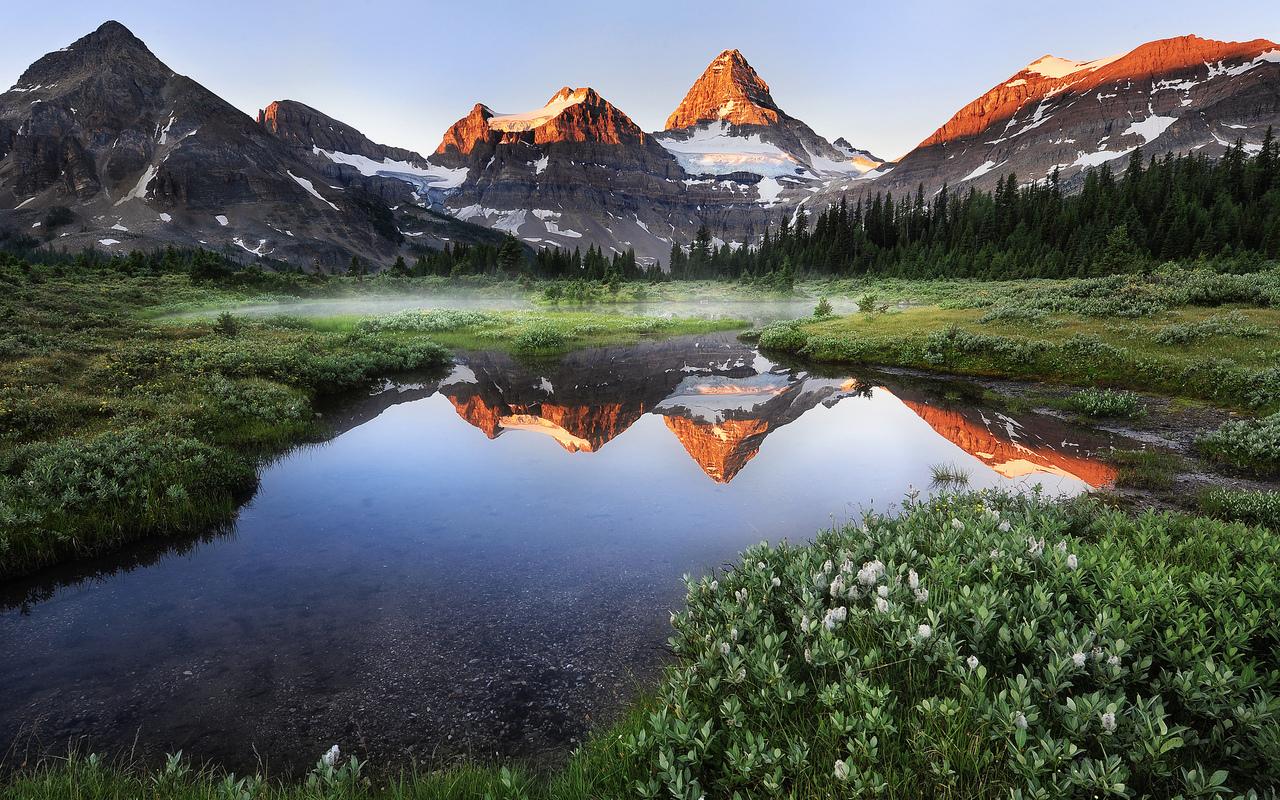 Mountain Meadow Picture