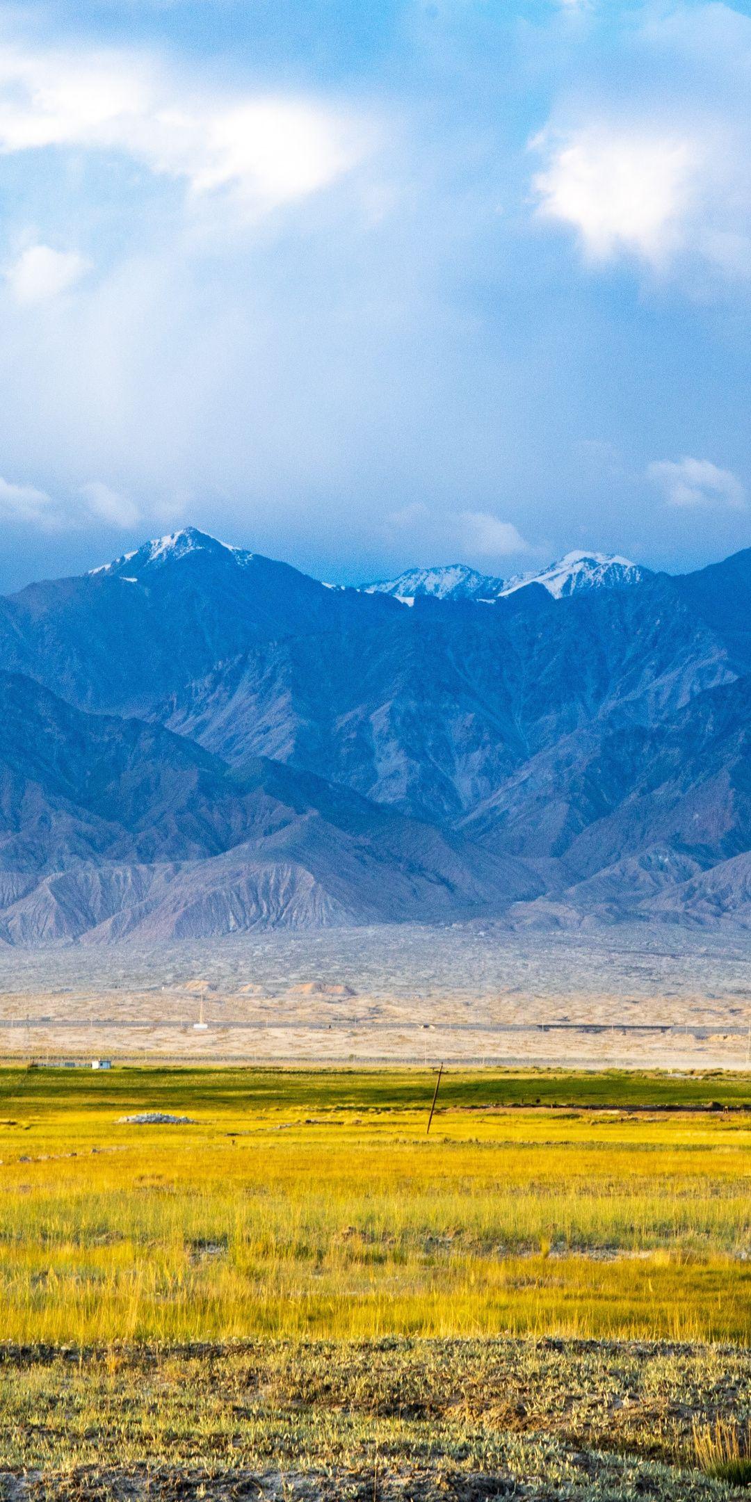 Landscape, yellow flowers, meadow, mountains, nature
