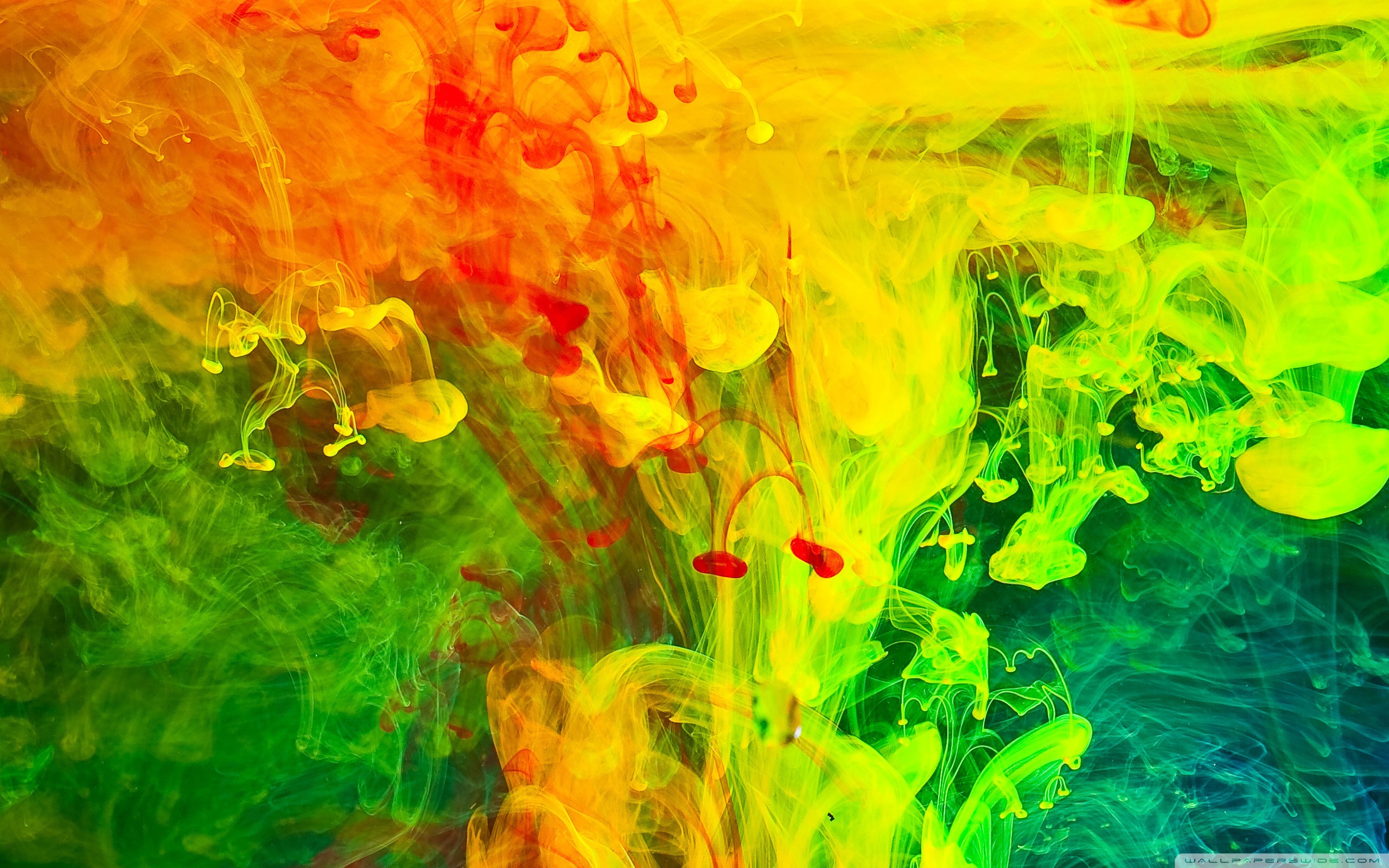 Colorful Paint in Water ❤ 4K HD Desktop Wallpaper for 4K