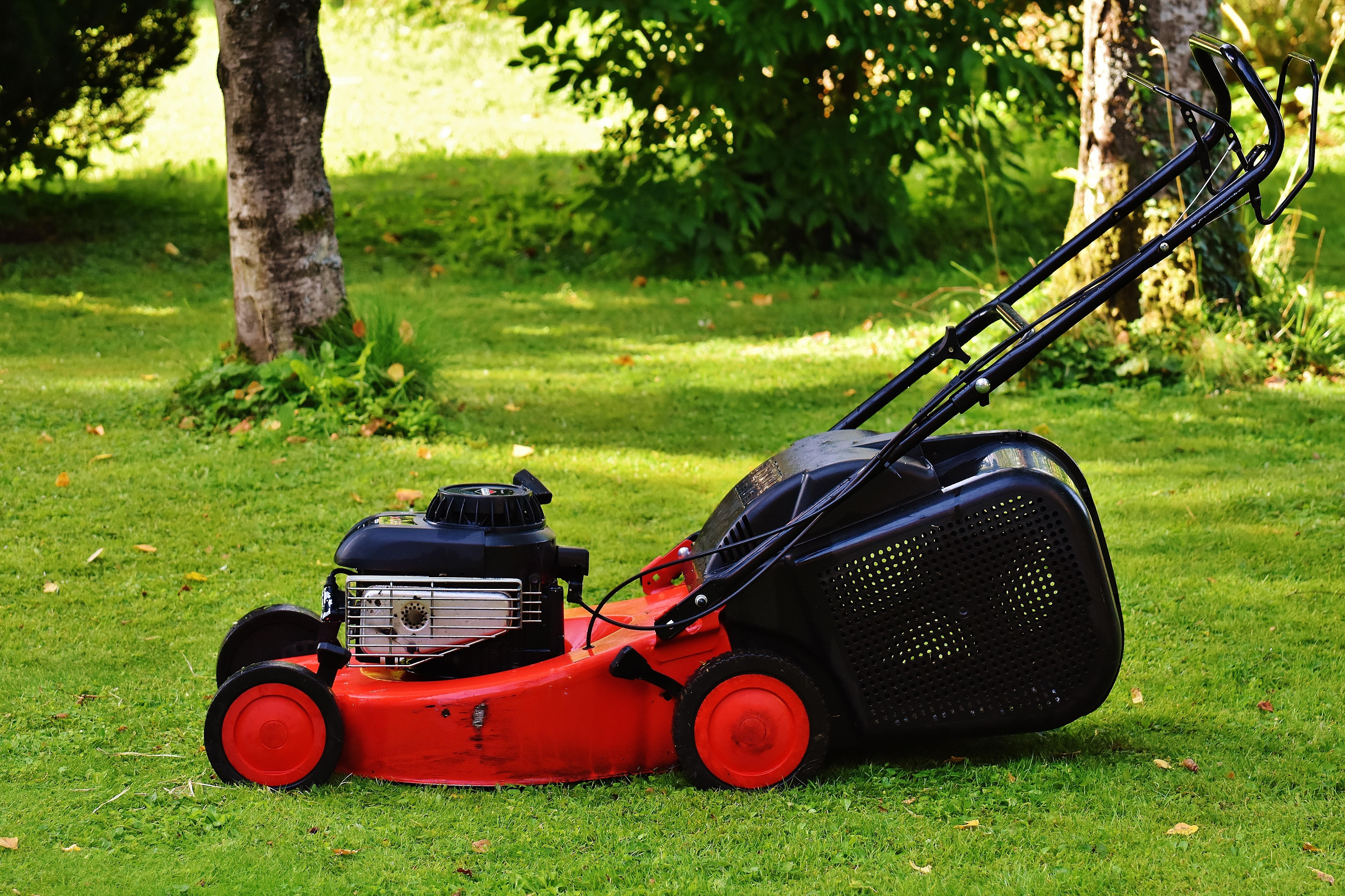 black and red Push lawn mower free image