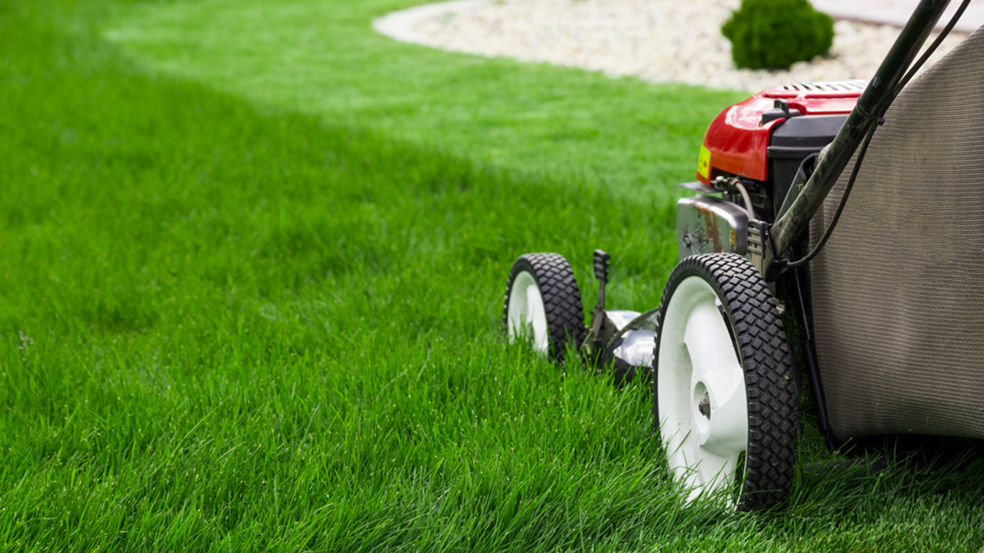 Best Mowing Practices and South Rivers Watershed
