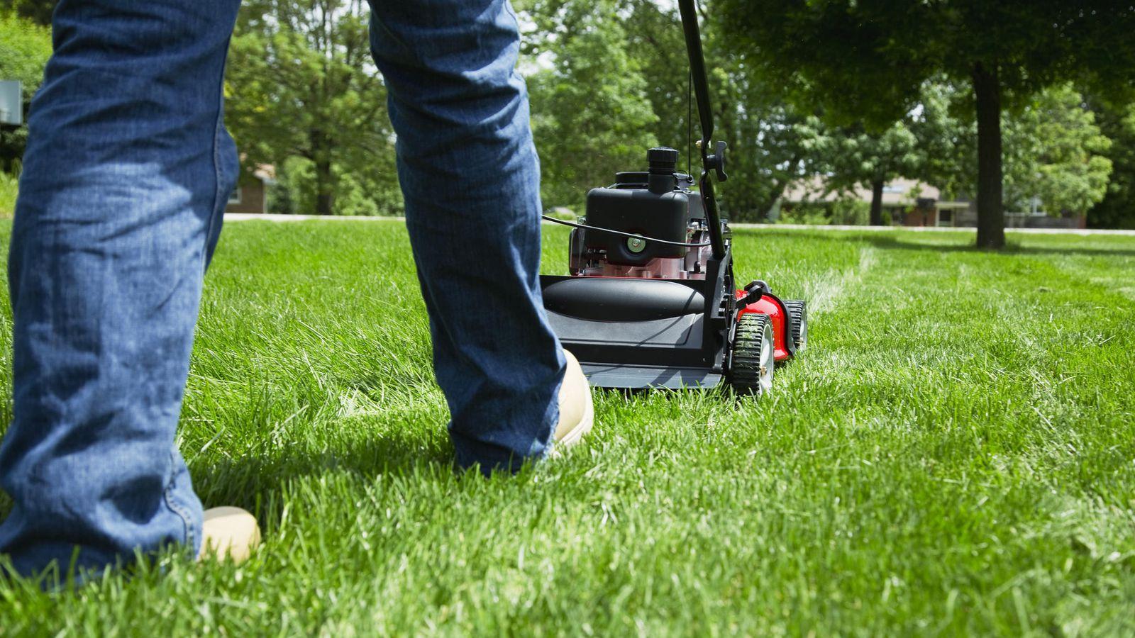 How to maintain your lawn during the summer