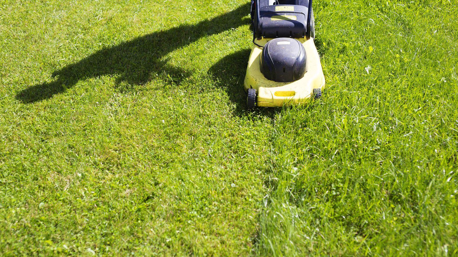 How to mow your lawn the right way