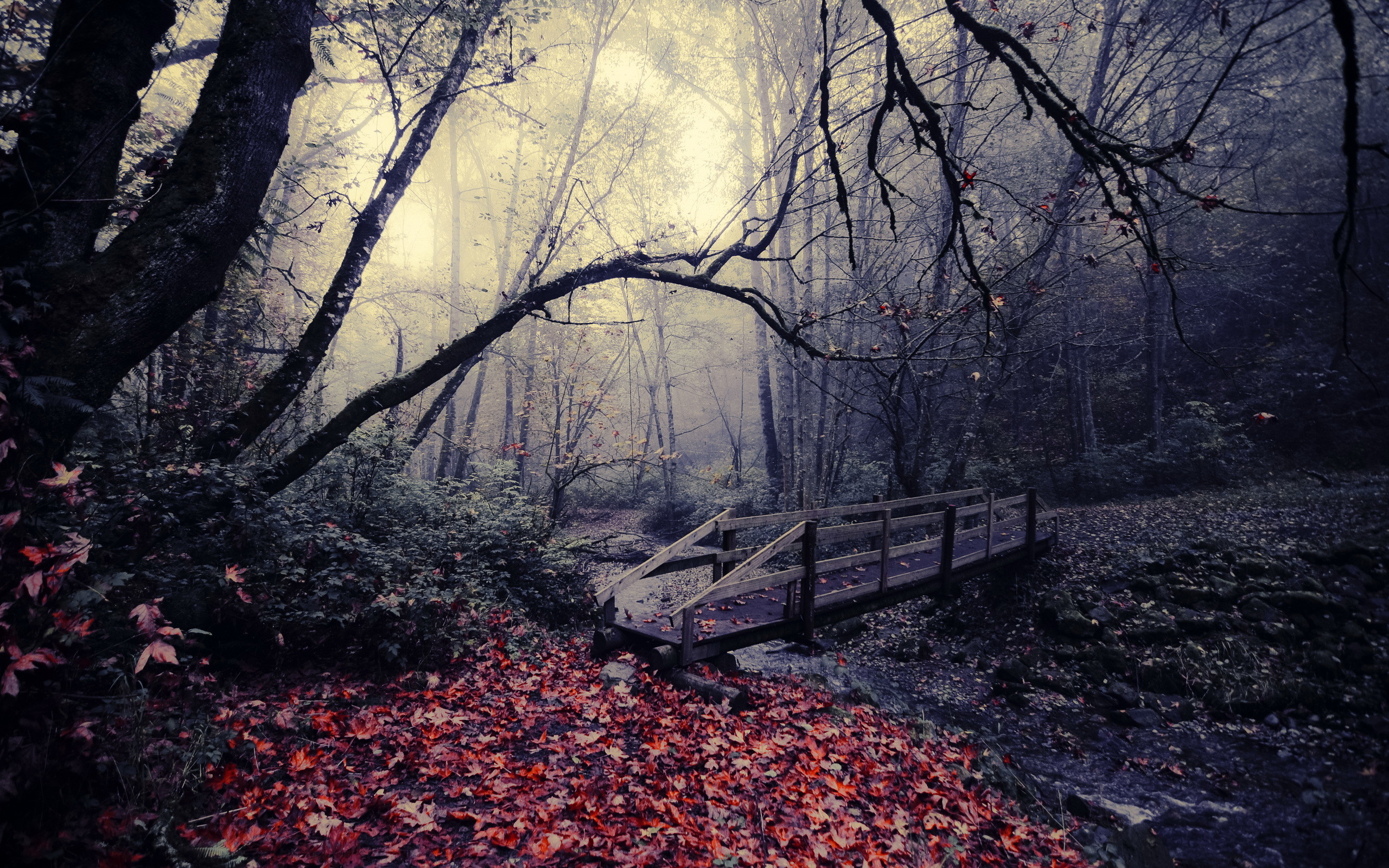 Brã¼cke Herbst Nebel Strom Blatt Wald Wallpaper