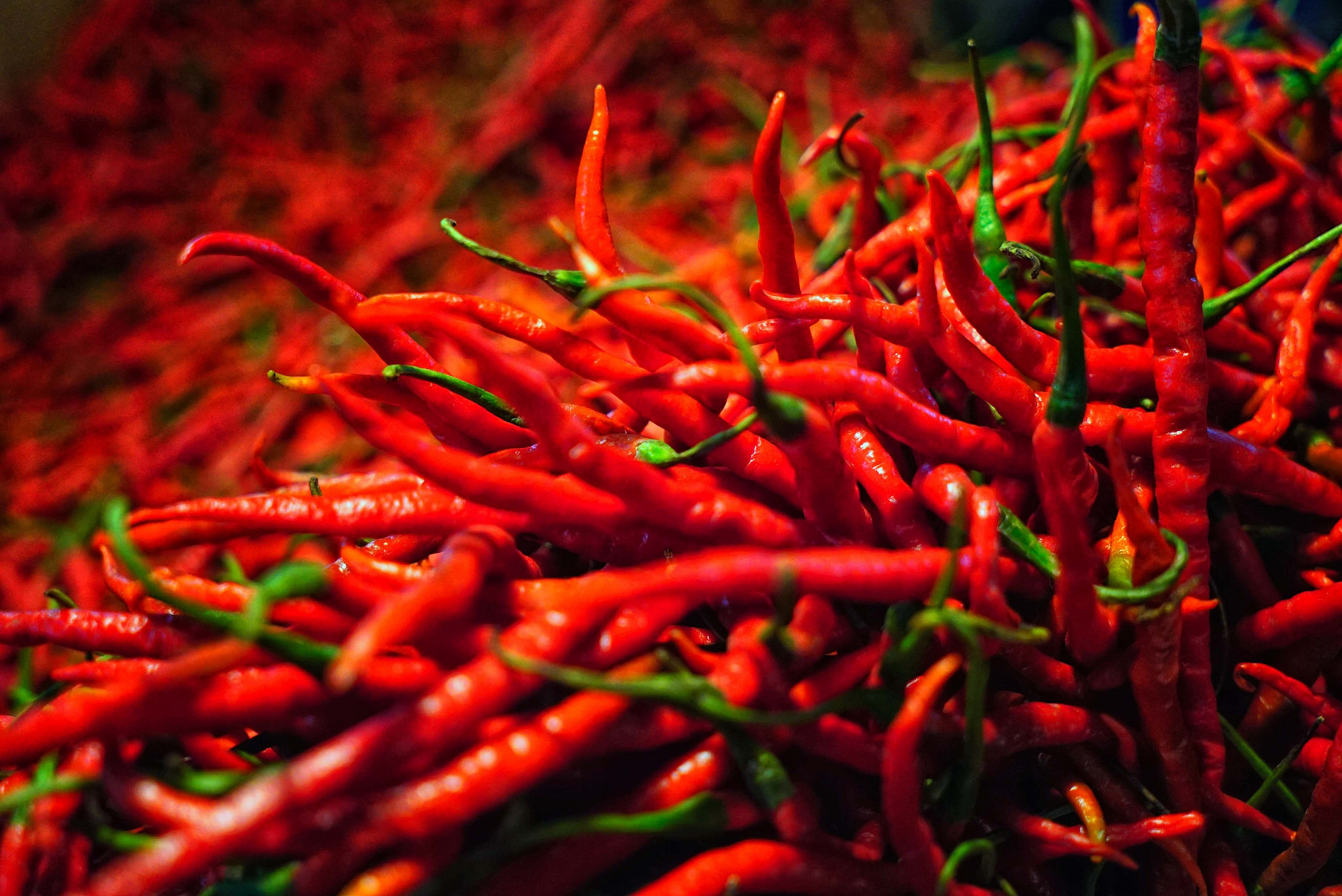 Tabasco Wallpapers - Wallpaper Cave