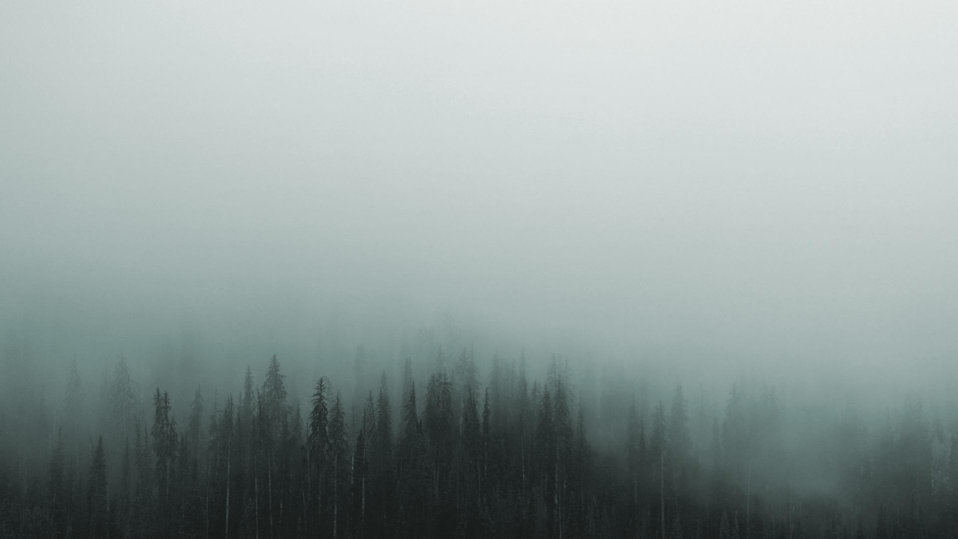 Gloomy Mist Wallpaper, HD Nature 4K Wallpaper, Image