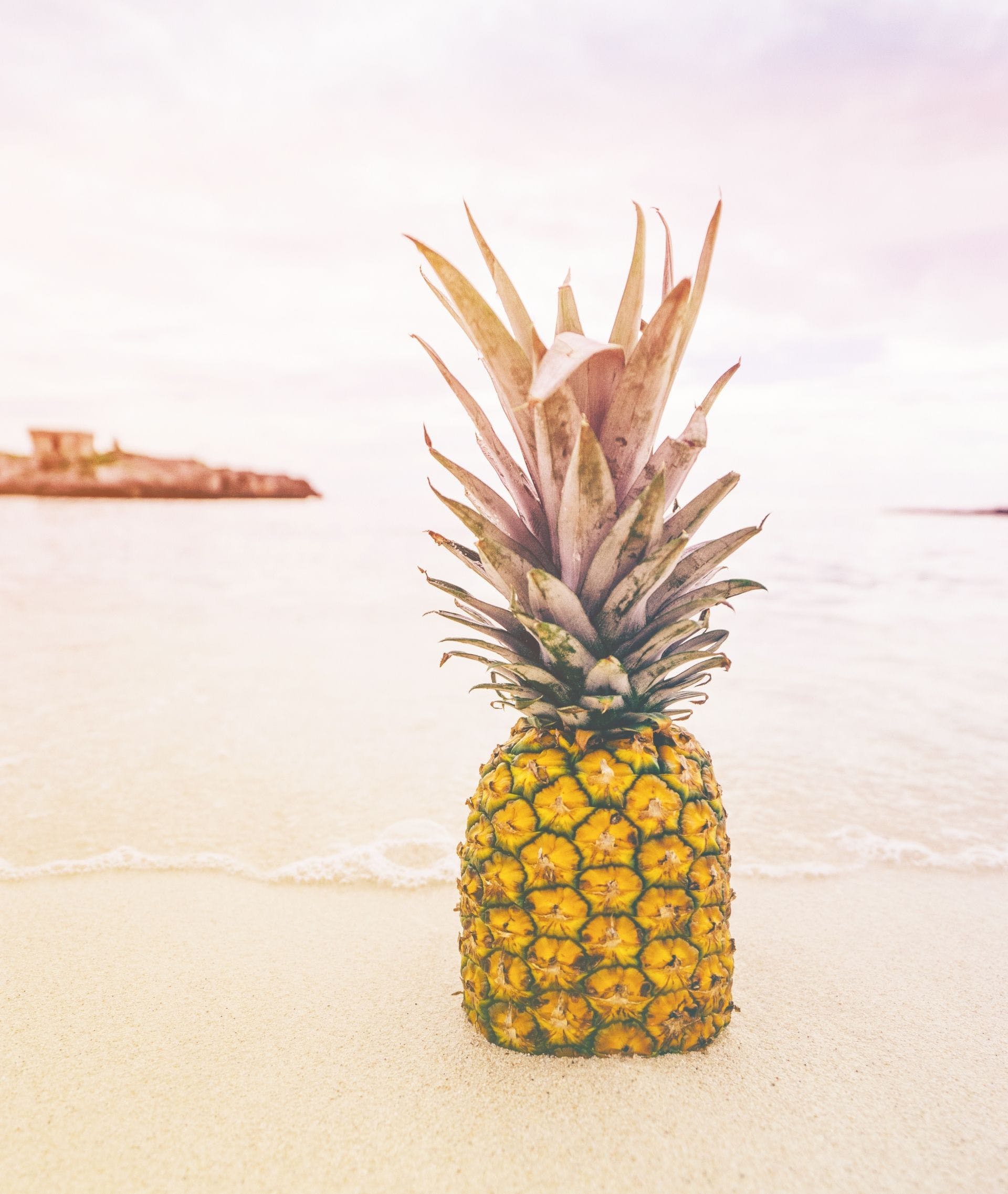 Download Pineapple Edible Fruit Wallpaper ·