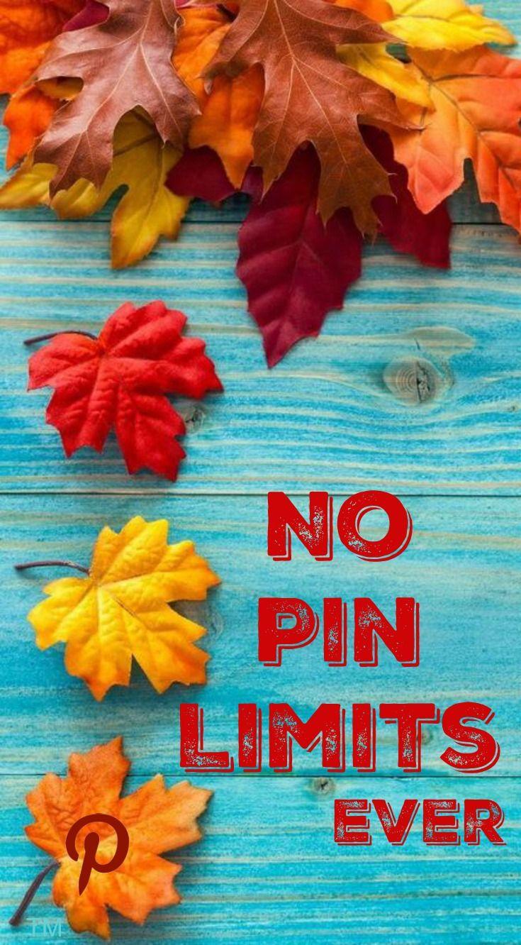 No Pin Limits. Ever <3. A Big Welcome To My Boards