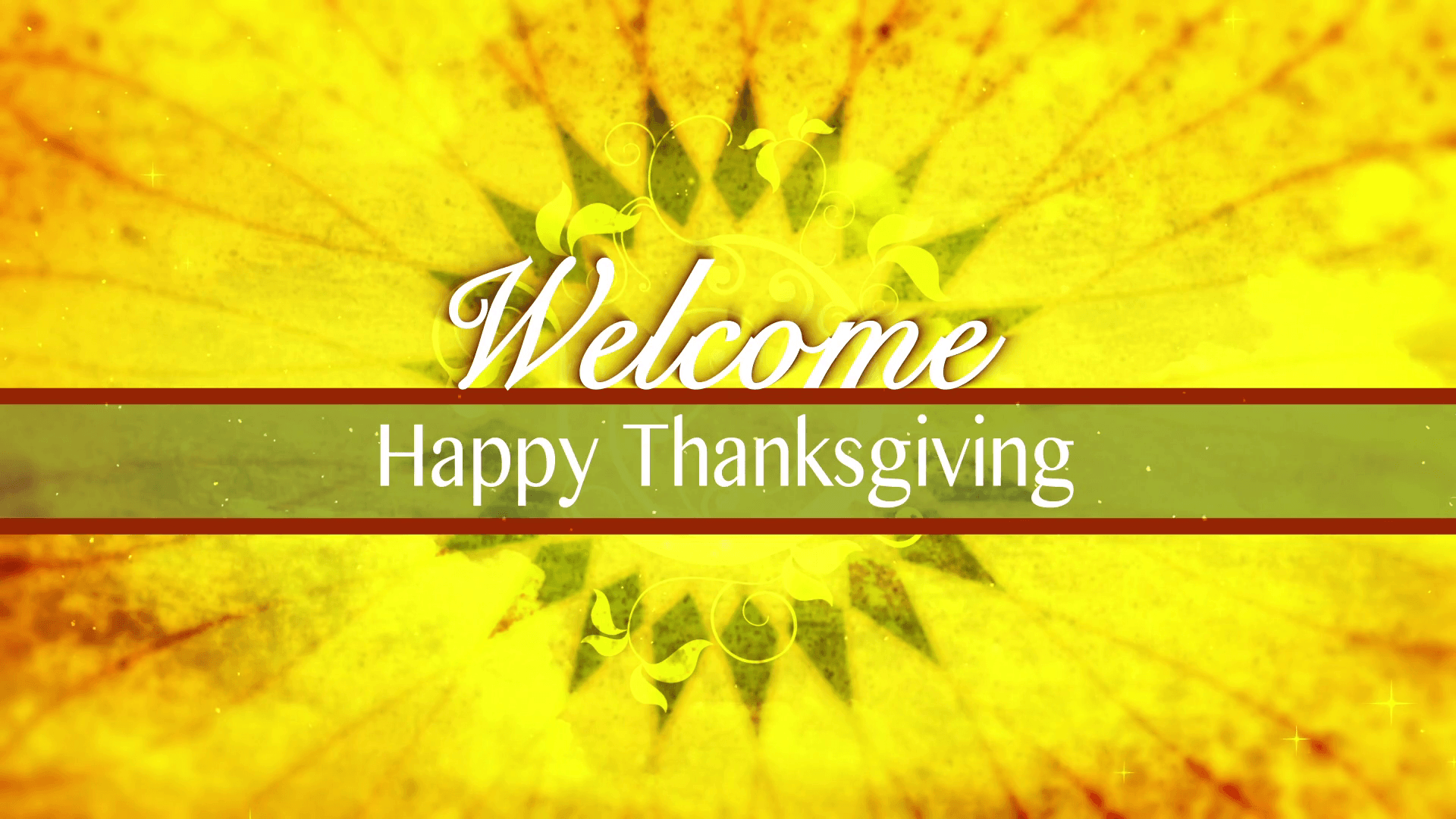 Happy Thanksgiving Welcome Title Background. Golden Autumn Welcome Title Text Motion Background