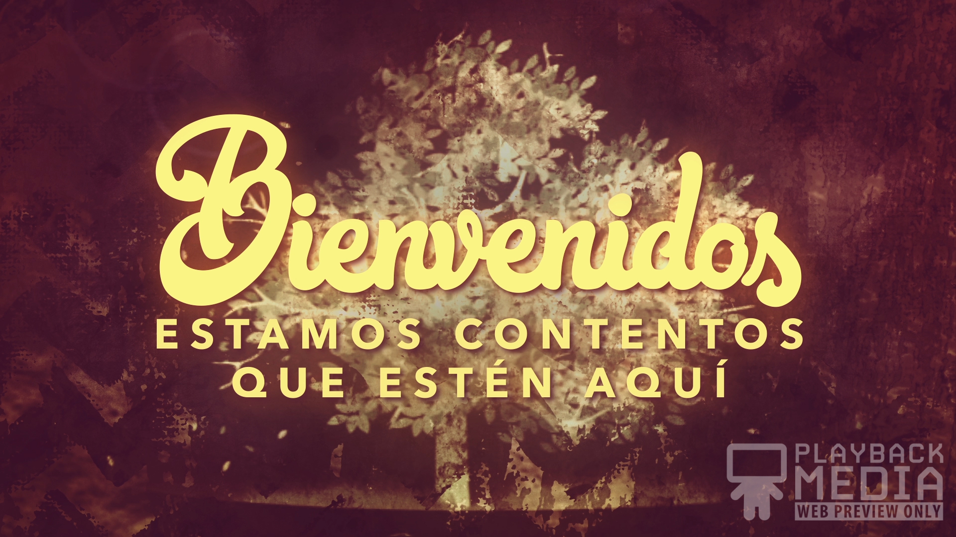 Thanksgiving Gratitude Welcome 2 Still