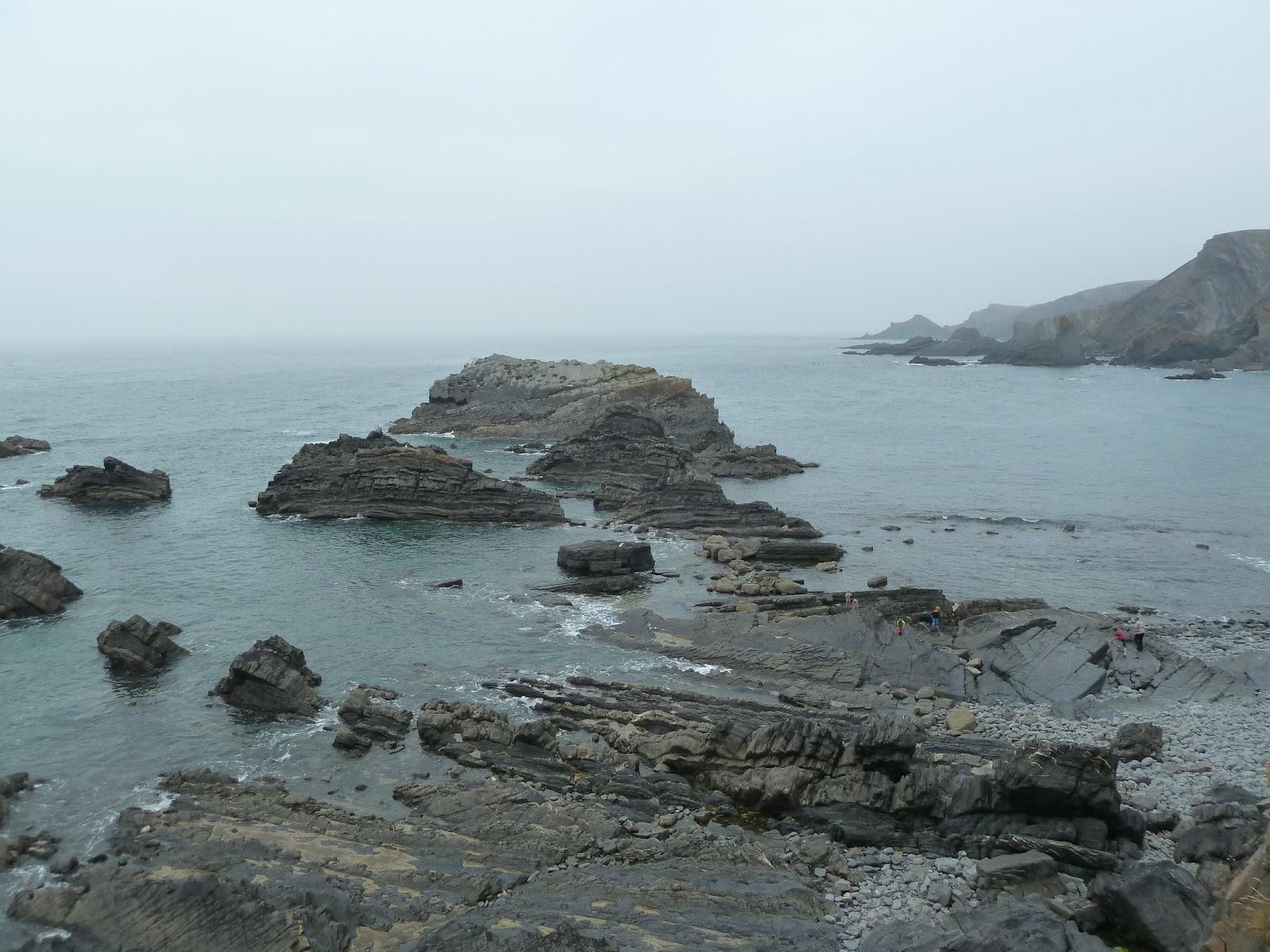 Hartland quay. Prunings from the Vines