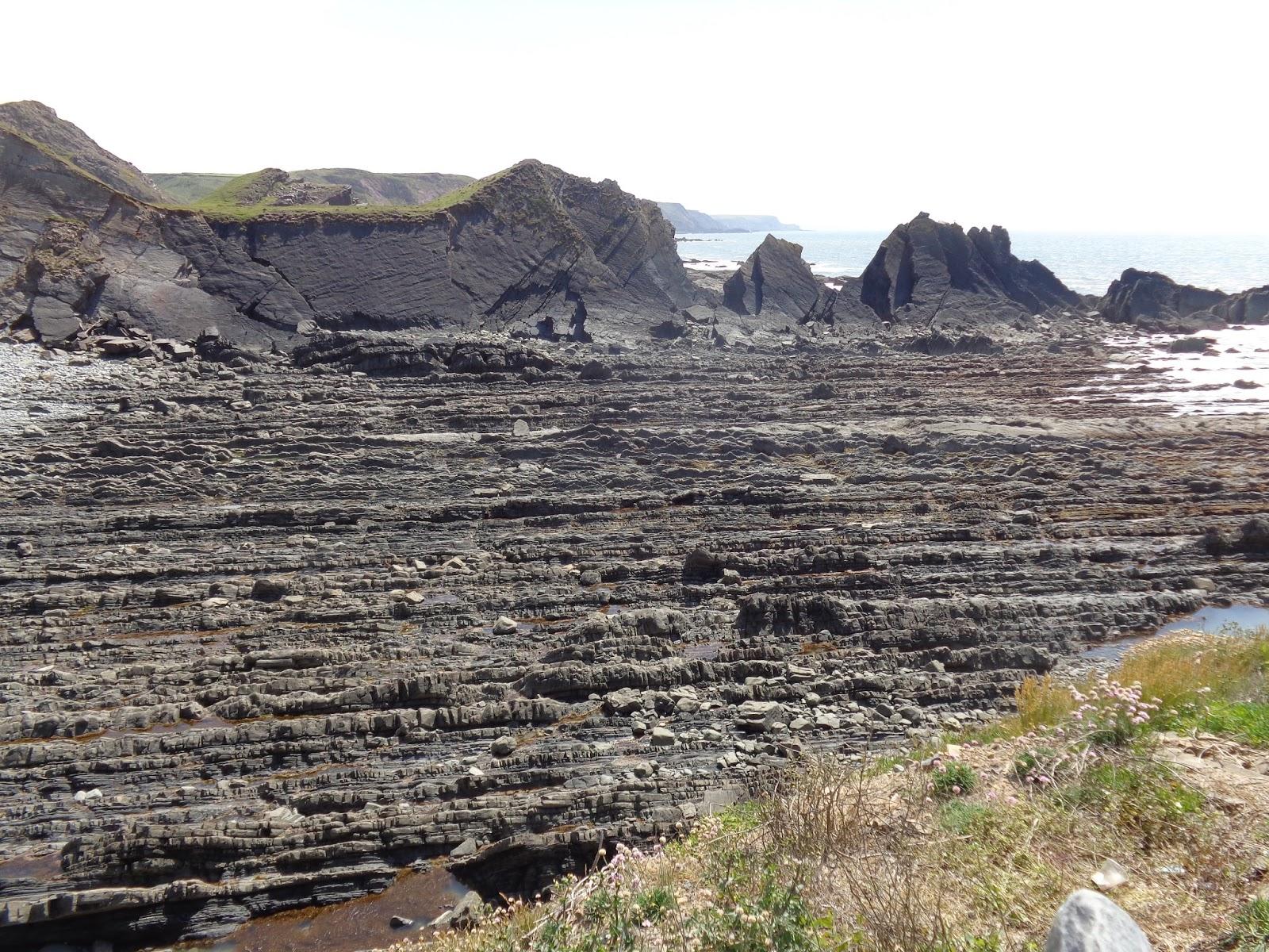 Walking the English coast easy way!: Walk 169