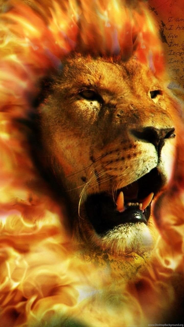Angry Lion Wallpaper Desktop Background