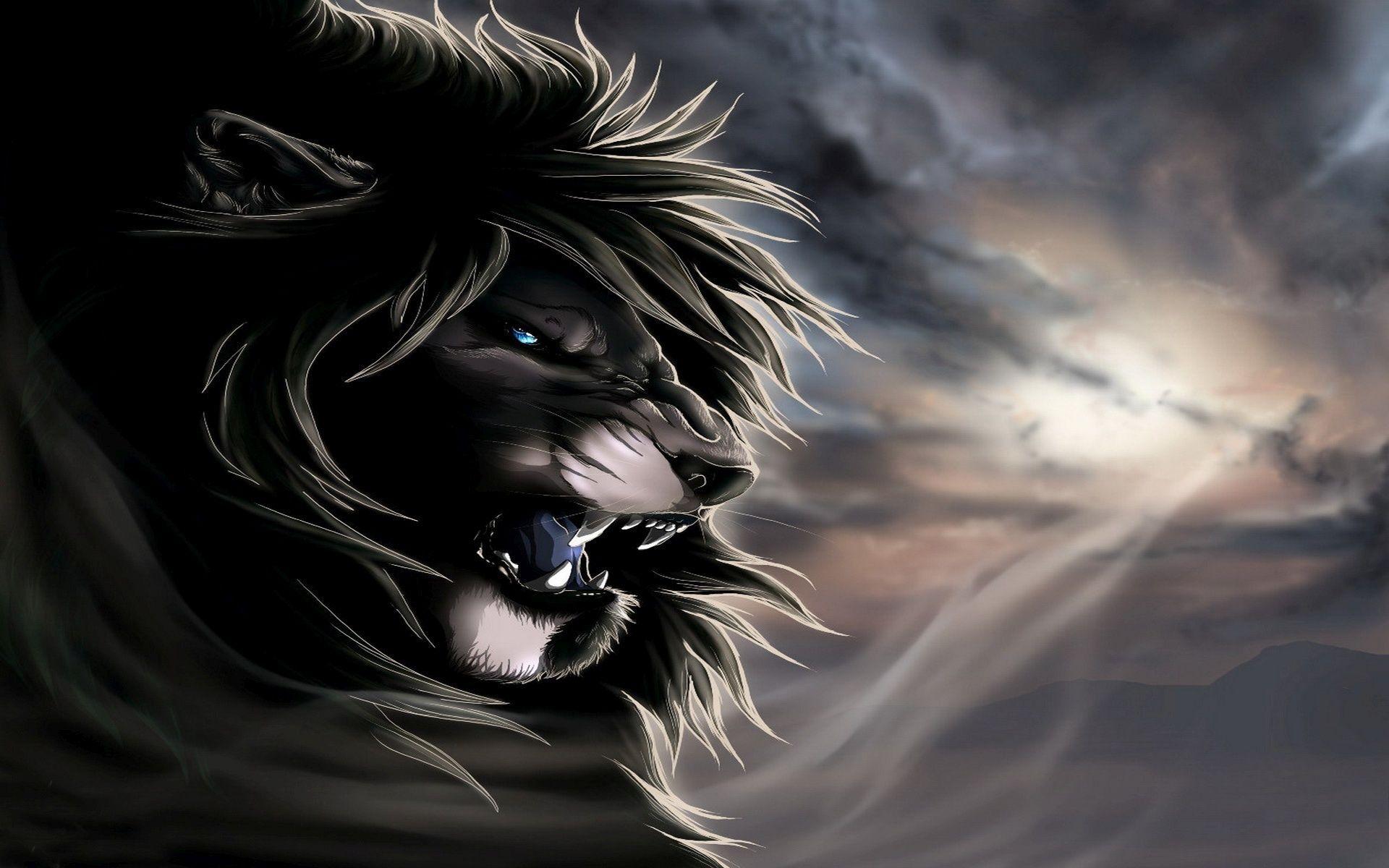 Angry lion HD wallpaper
