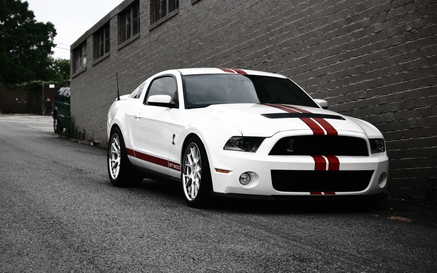 Mustang Shelby Hd Wallpapers