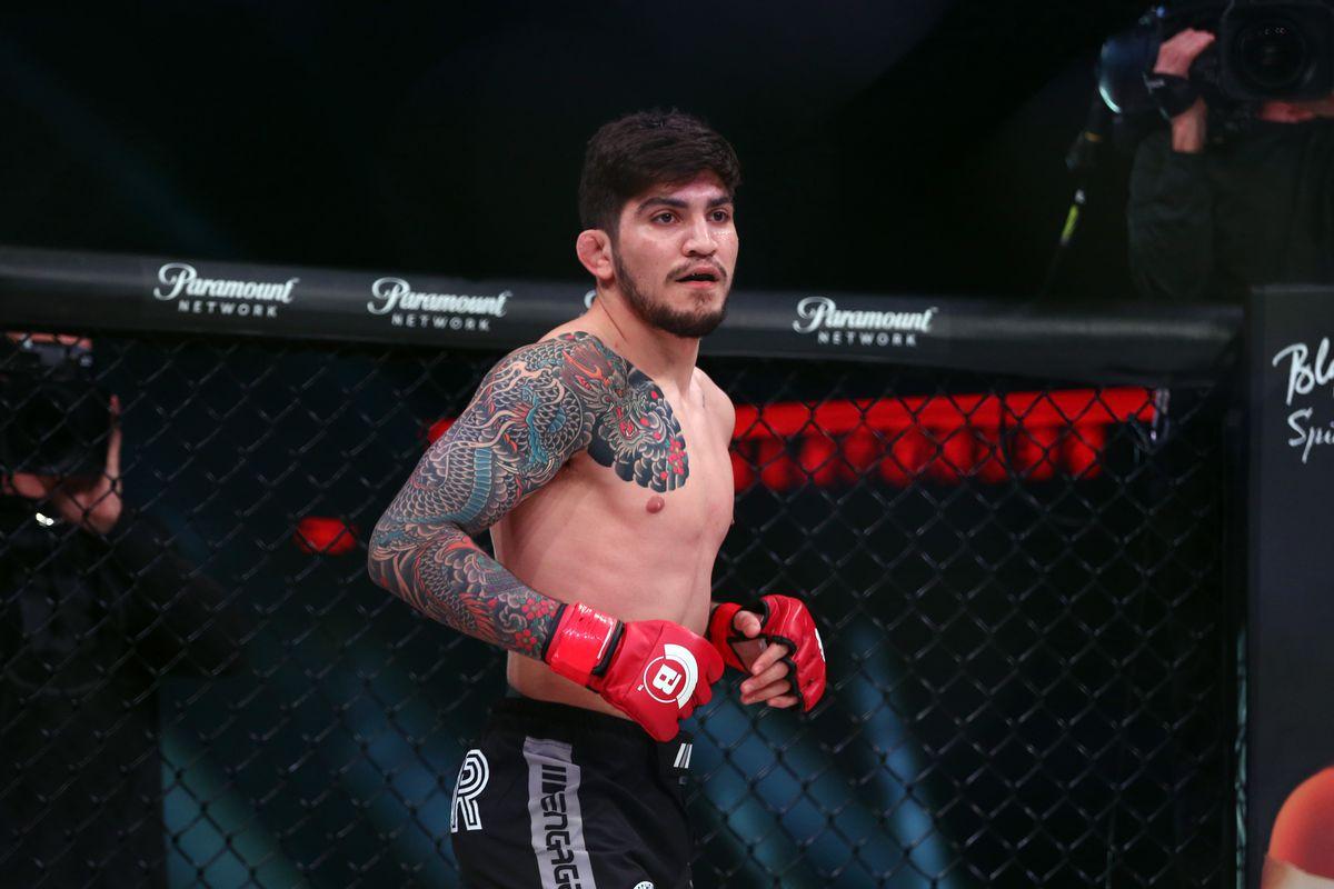 Dillon Danis Wallpapers - Wallpaper Cave