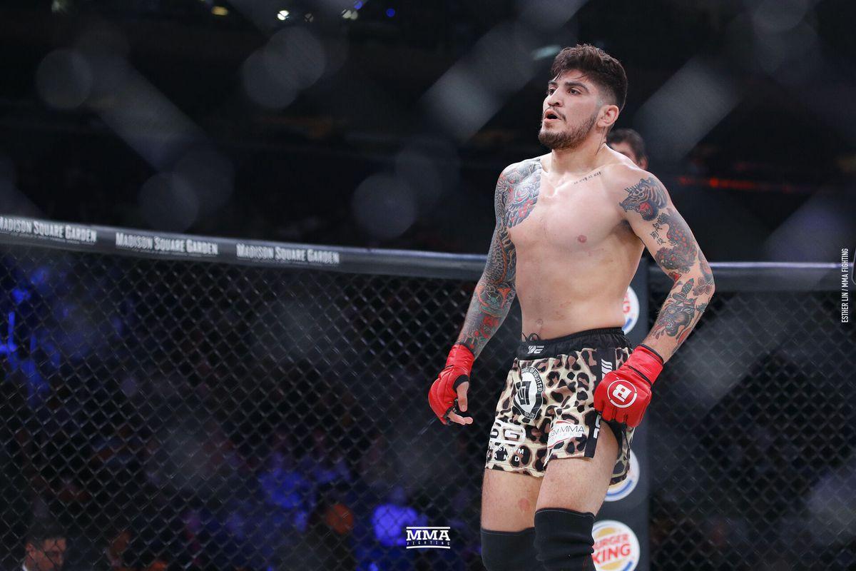 Dillon Danis Wallpapers Wallpaper Cave