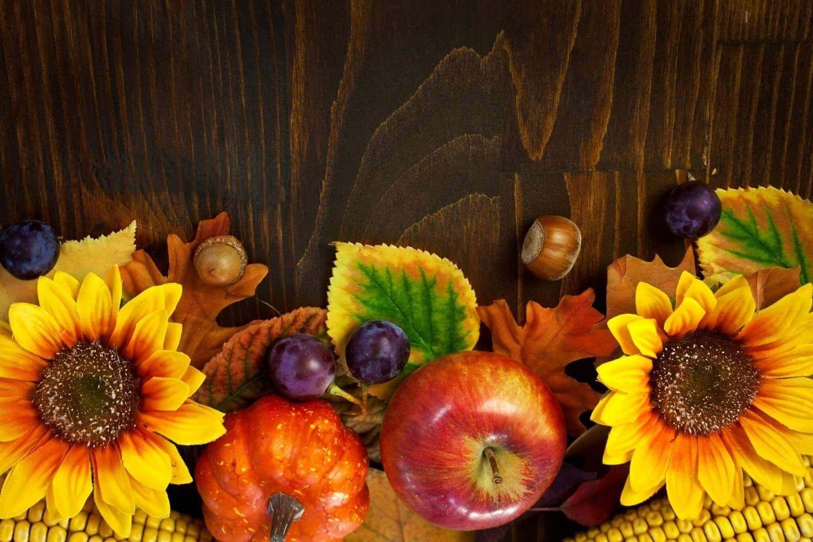 Thanksgiving Wallpaper HD Free Download 2018. Thanksgiving