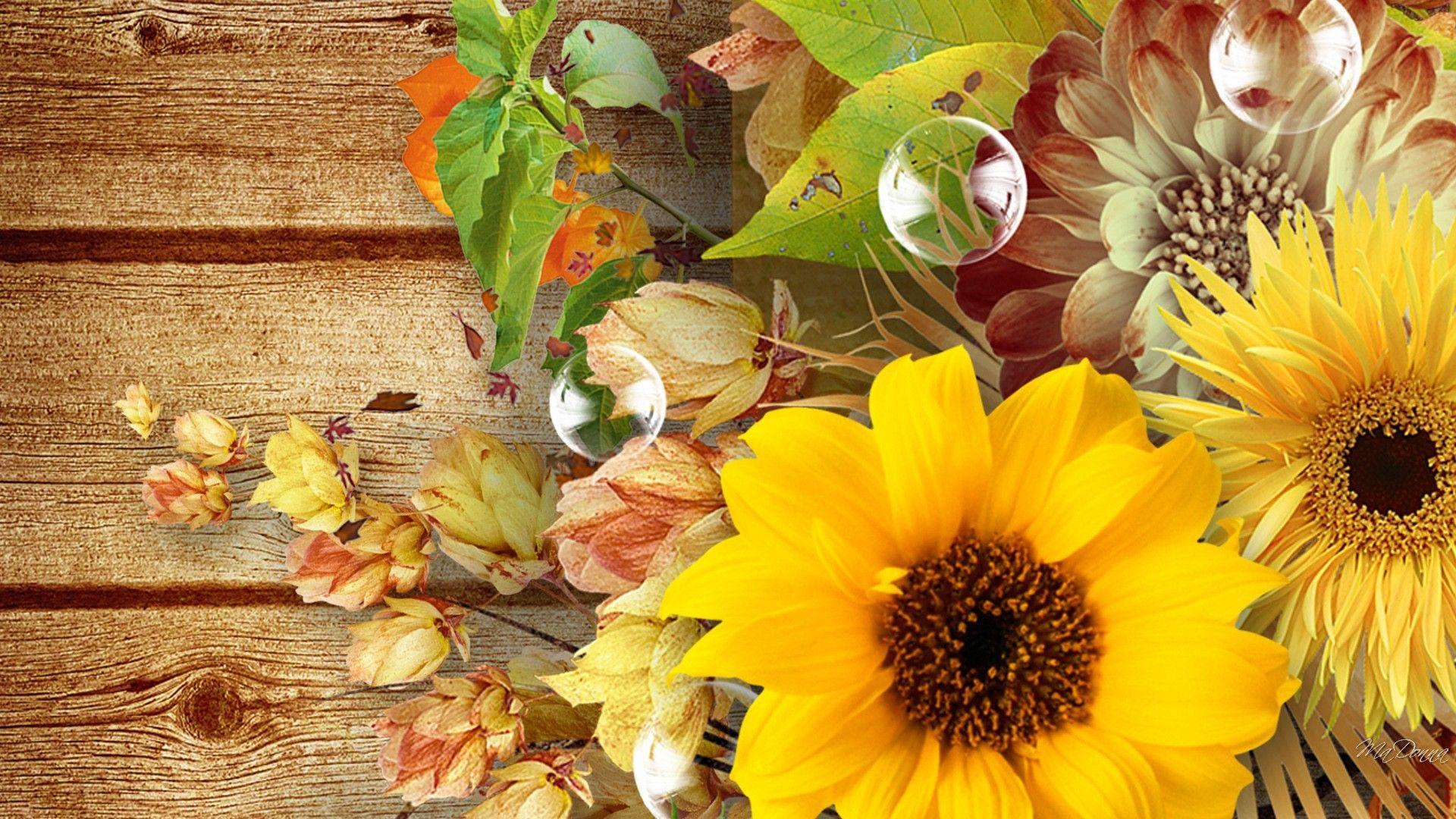 Autumn Sunflower Wallpaper