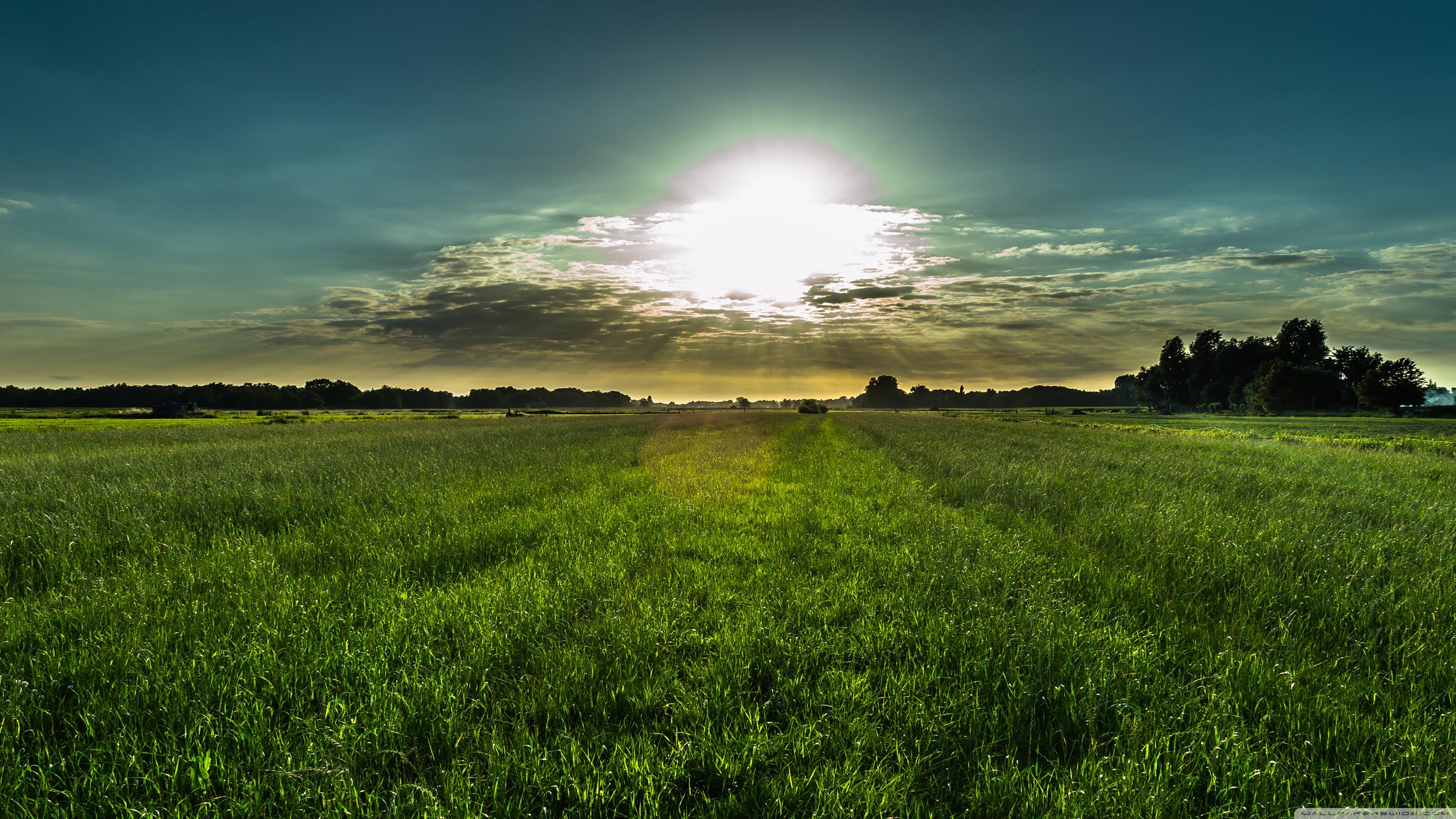 Dutch Summer Sky ❤ 4K HD Desktop Wallpaper for 4K Ultra HD