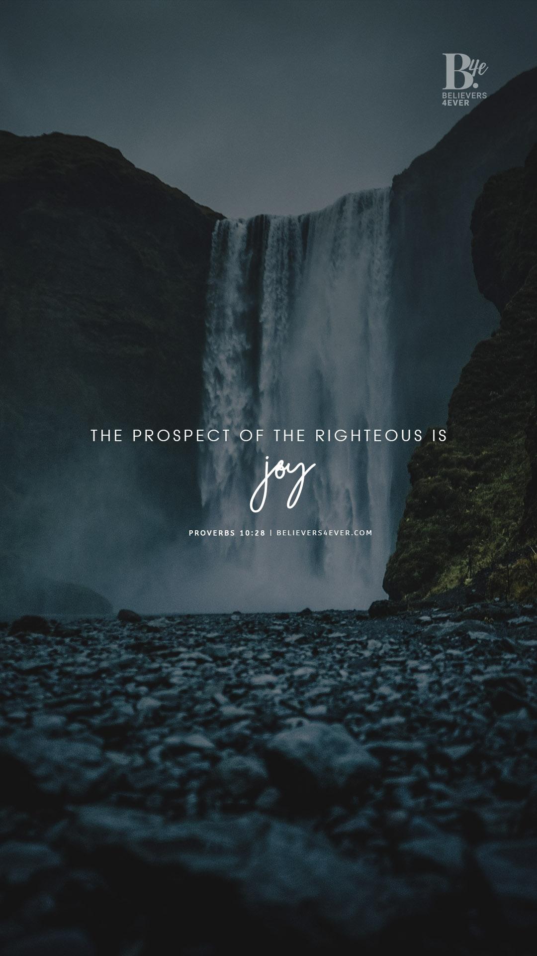 The prospect of the righteous