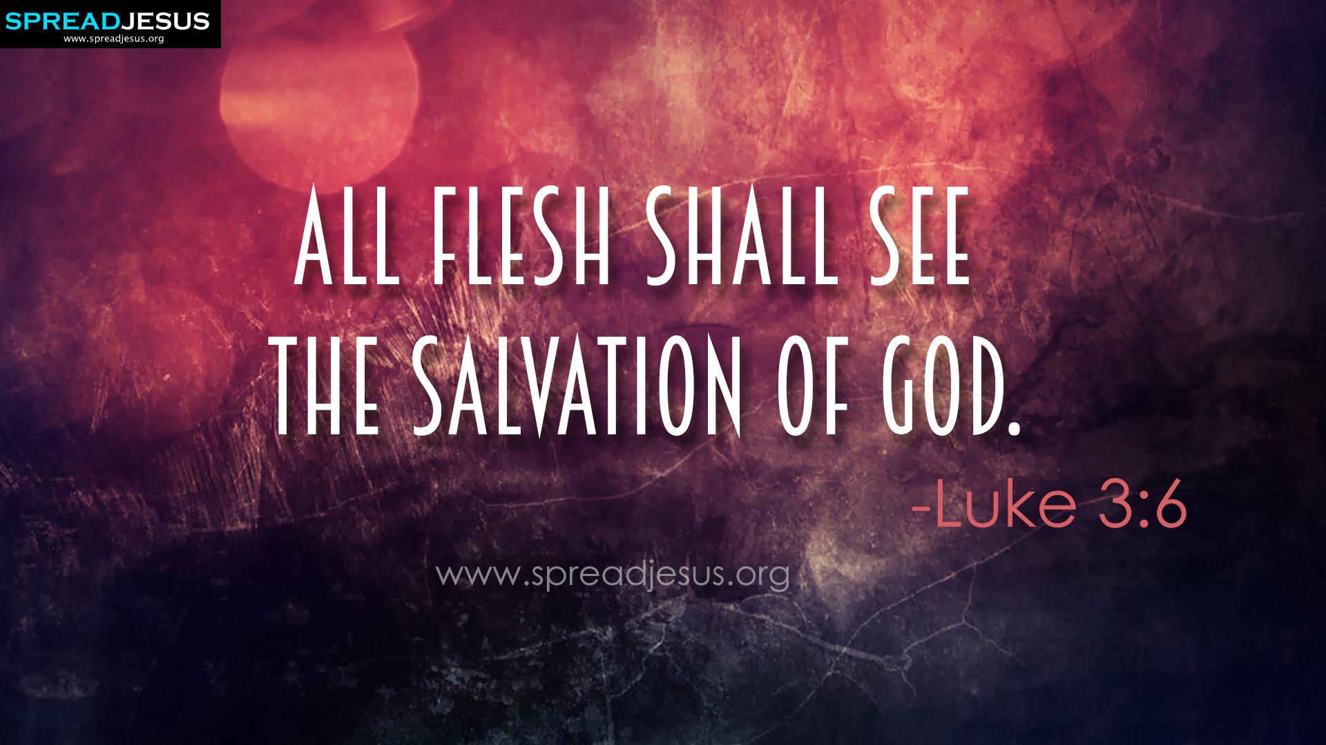 Bible Quotes HD Wallpaper Luke 3:6 Download And All Flesh