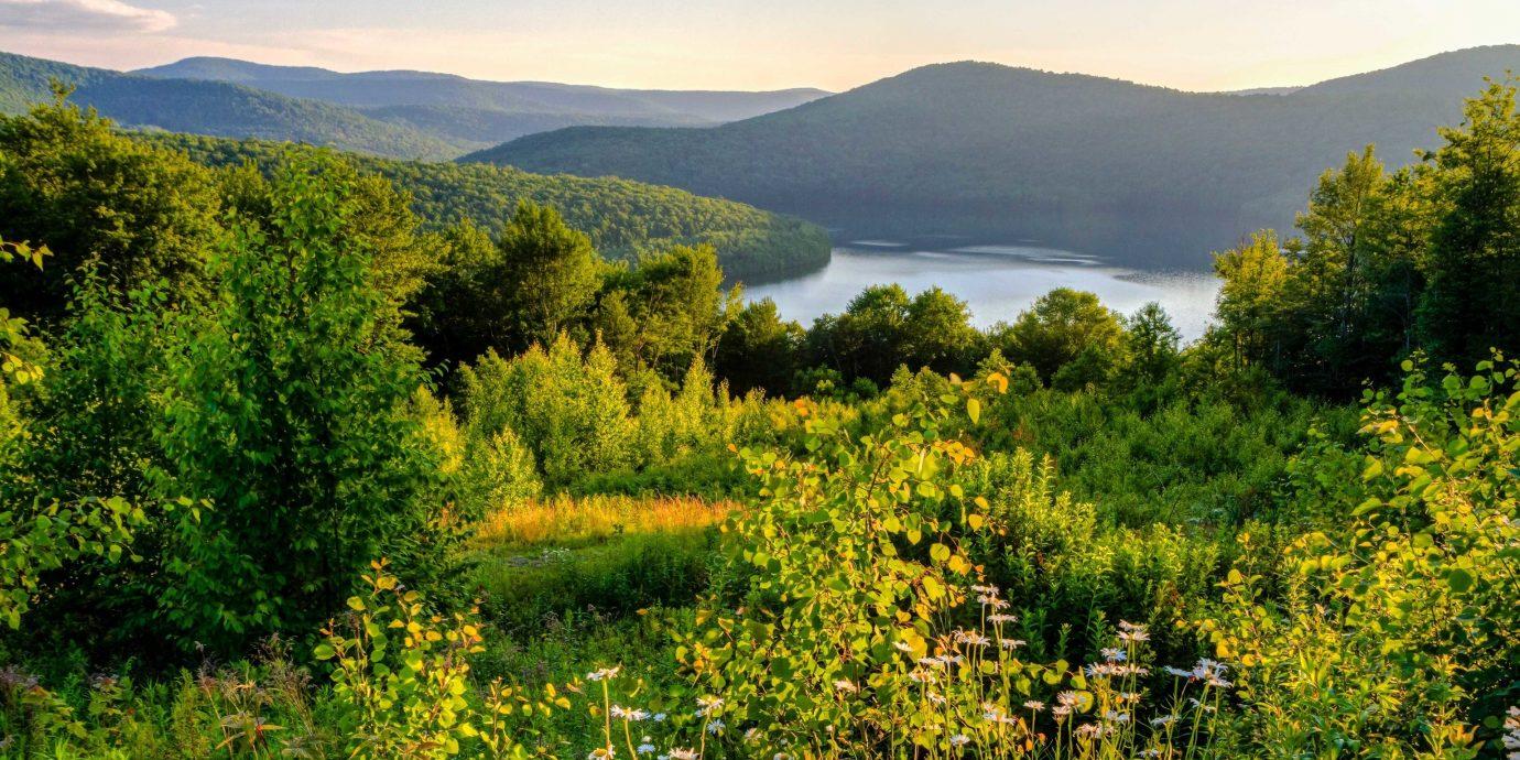 Your Perfect Catskills Vacation: Where to Stay and What to