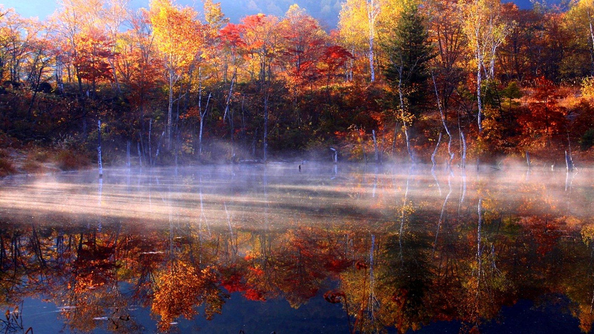 Autumn Mist (id: 148869)
