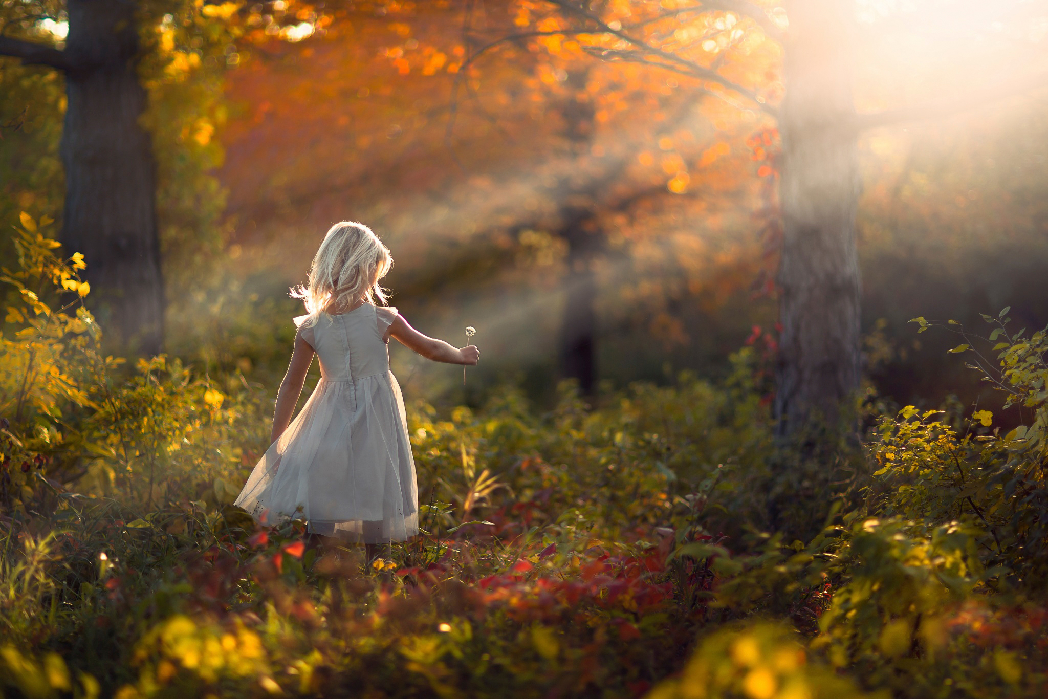 Girl Autumn Woods Wallpapers   Wallpaper Cave