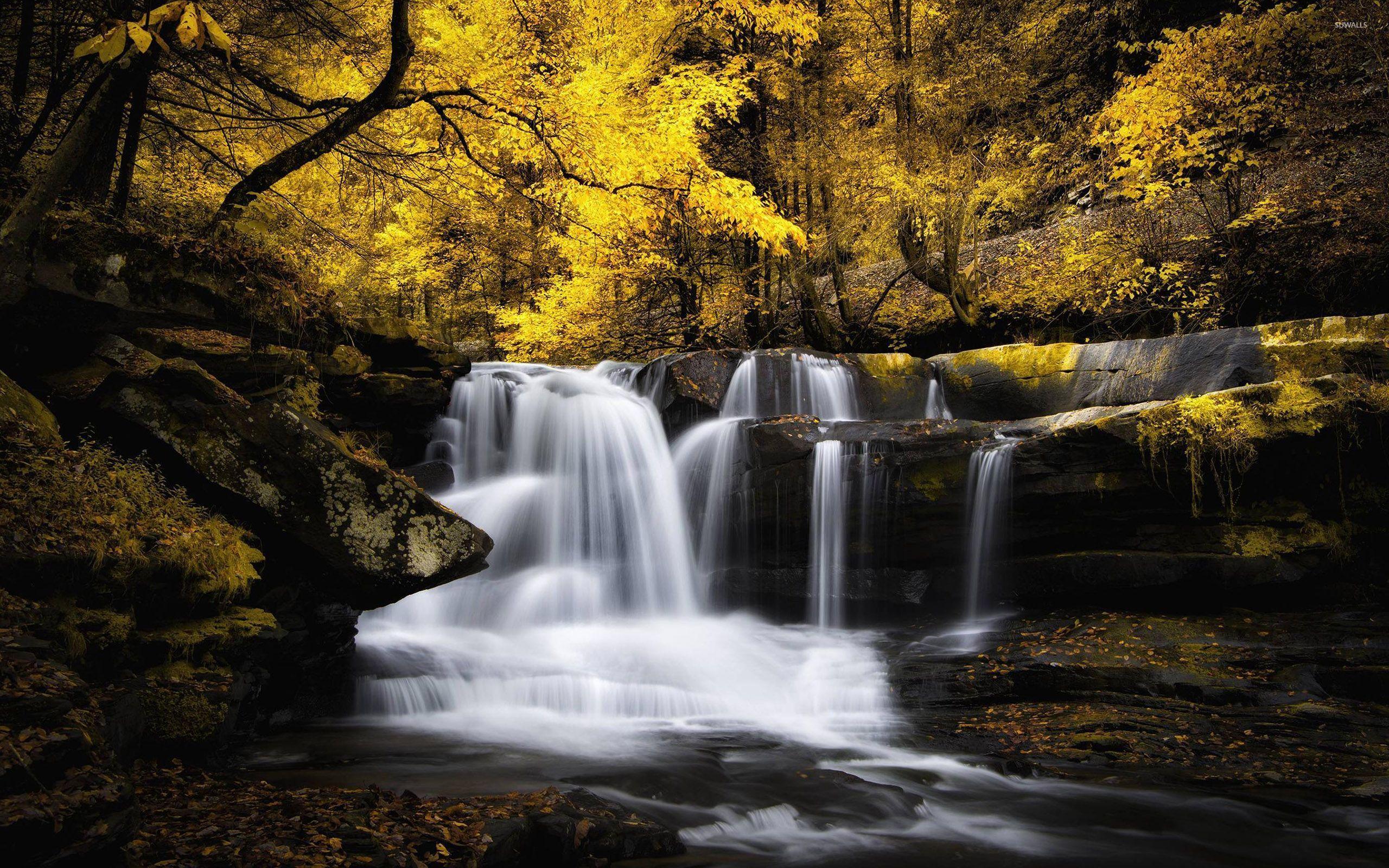 Waterfall in the autumn woods wallpaper wallpaper
