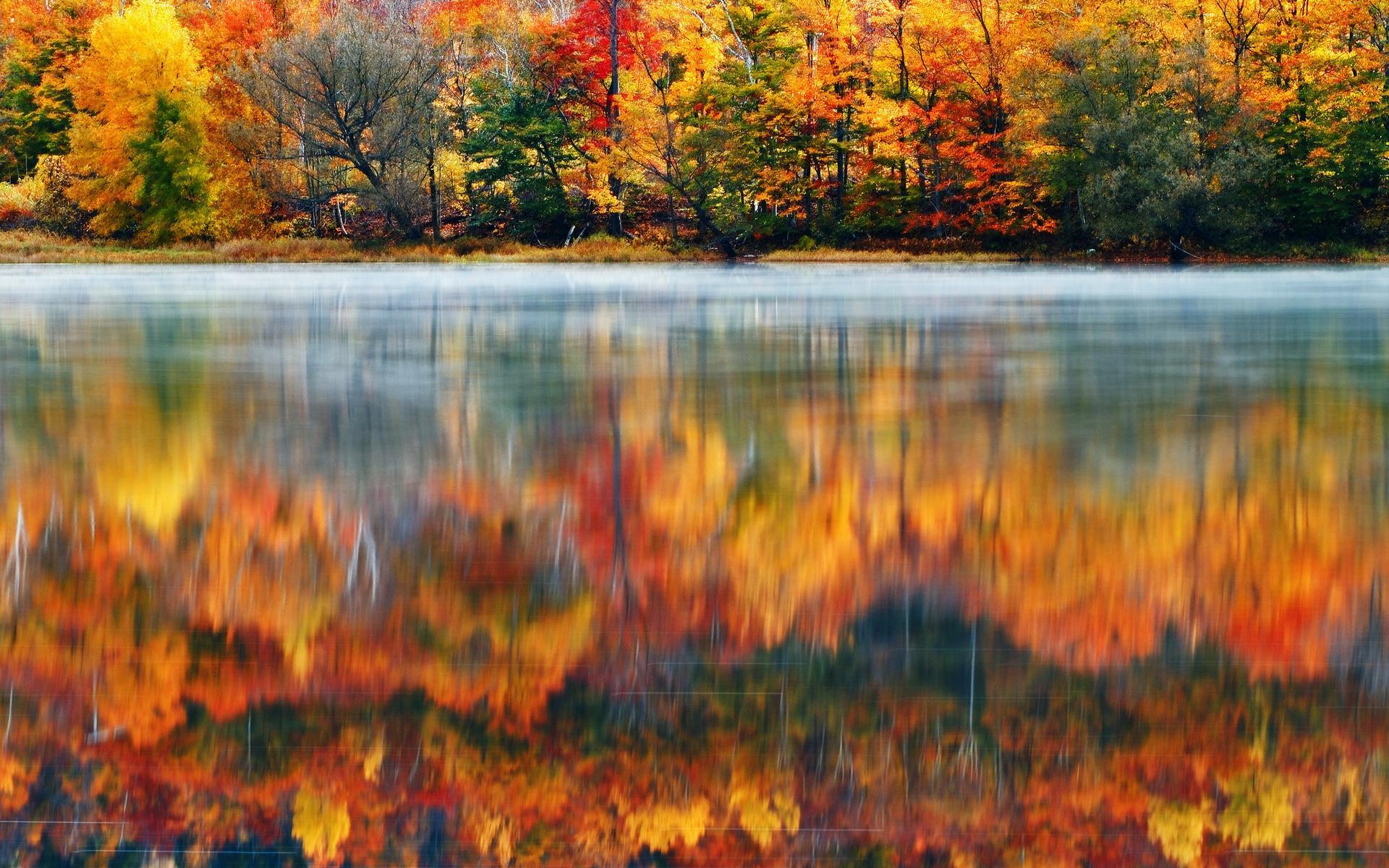 Morning Nature Usa Lake New Hampshire Reflection Autumn Fog
