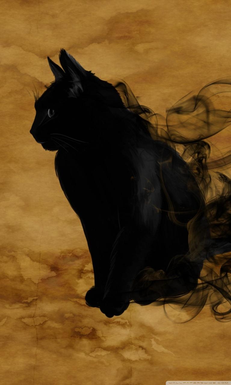 Halloween Black Cat ❤ 4K HD Desktop Wallpaper for 4K Ultra
