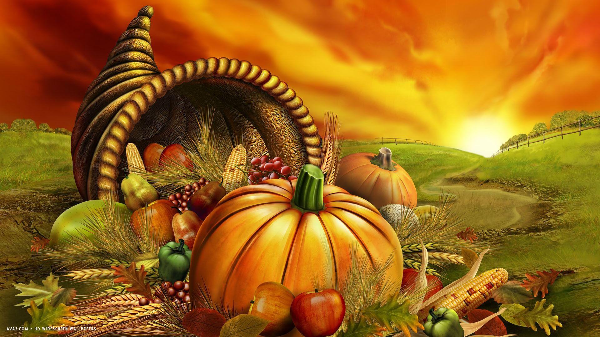 thanksgiving day autumn fruit harvest pumpkin orange sunset holiday HD widescreen wallpaper / holidays background