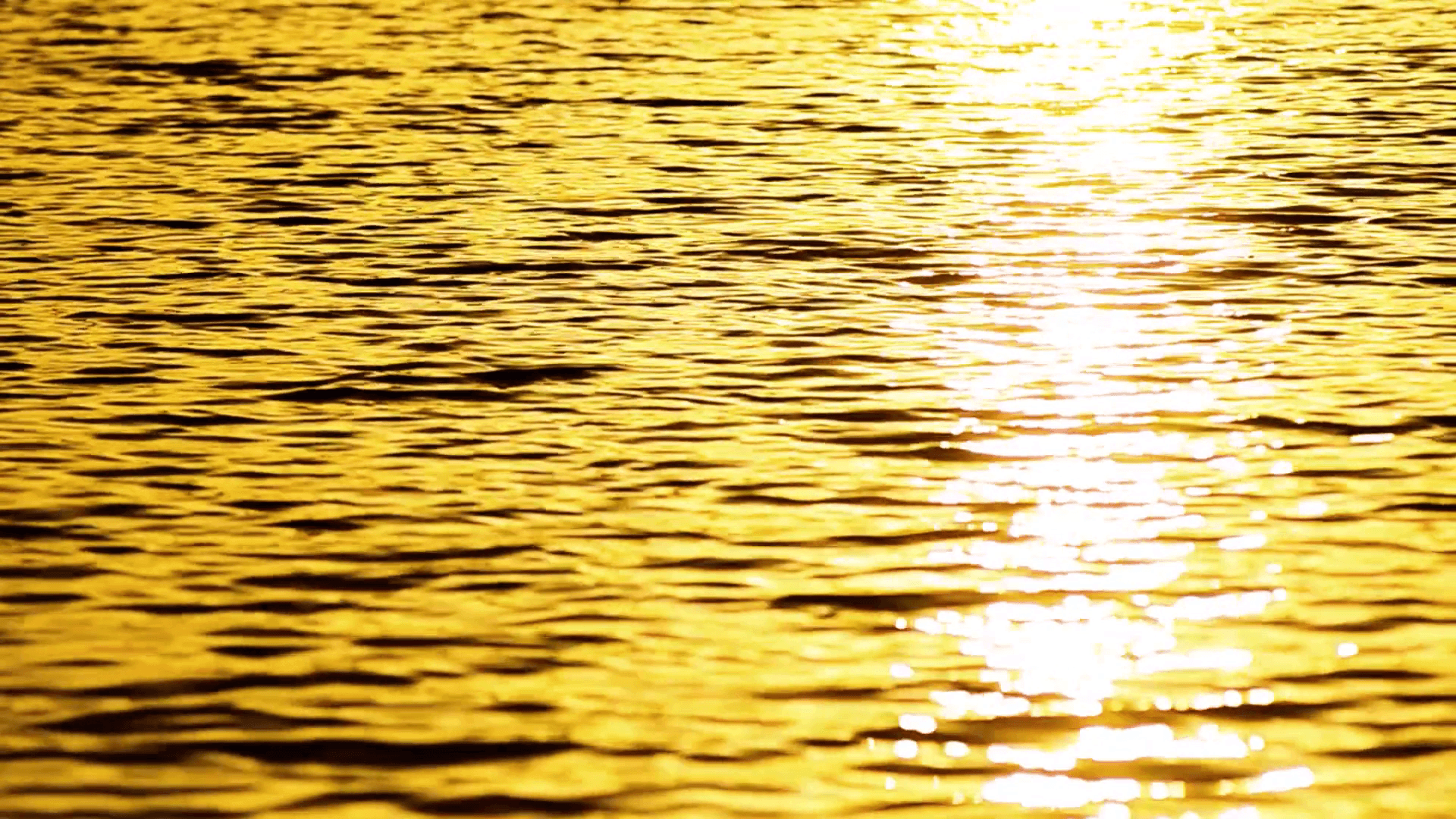 Golden Ripples wallpaper Collection