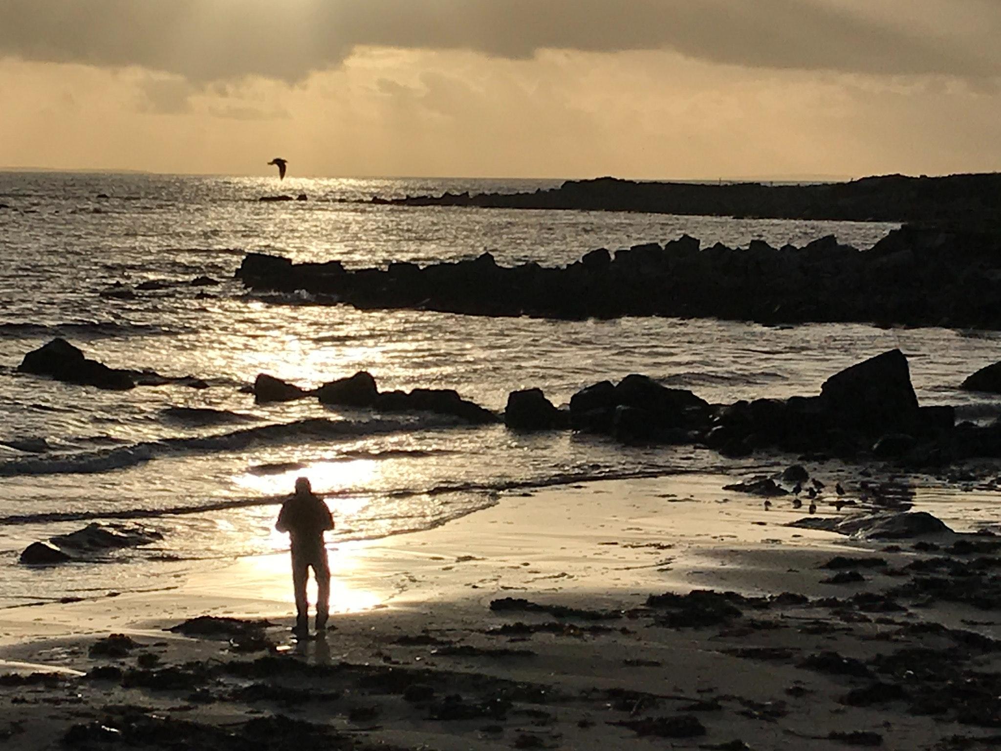 Free of galway bay, golden sunset, reflections
