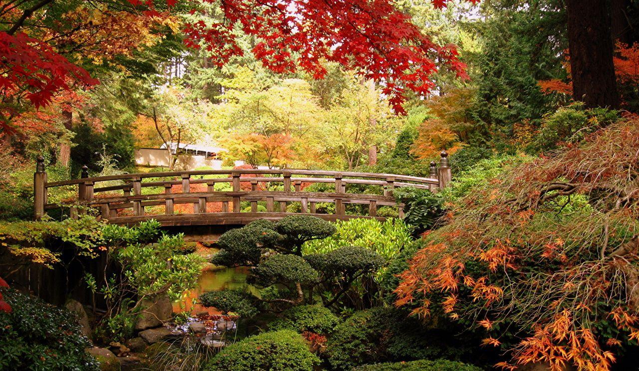 Portland Japanese Garden Wallpaper Free Portland Japanese Garden Background