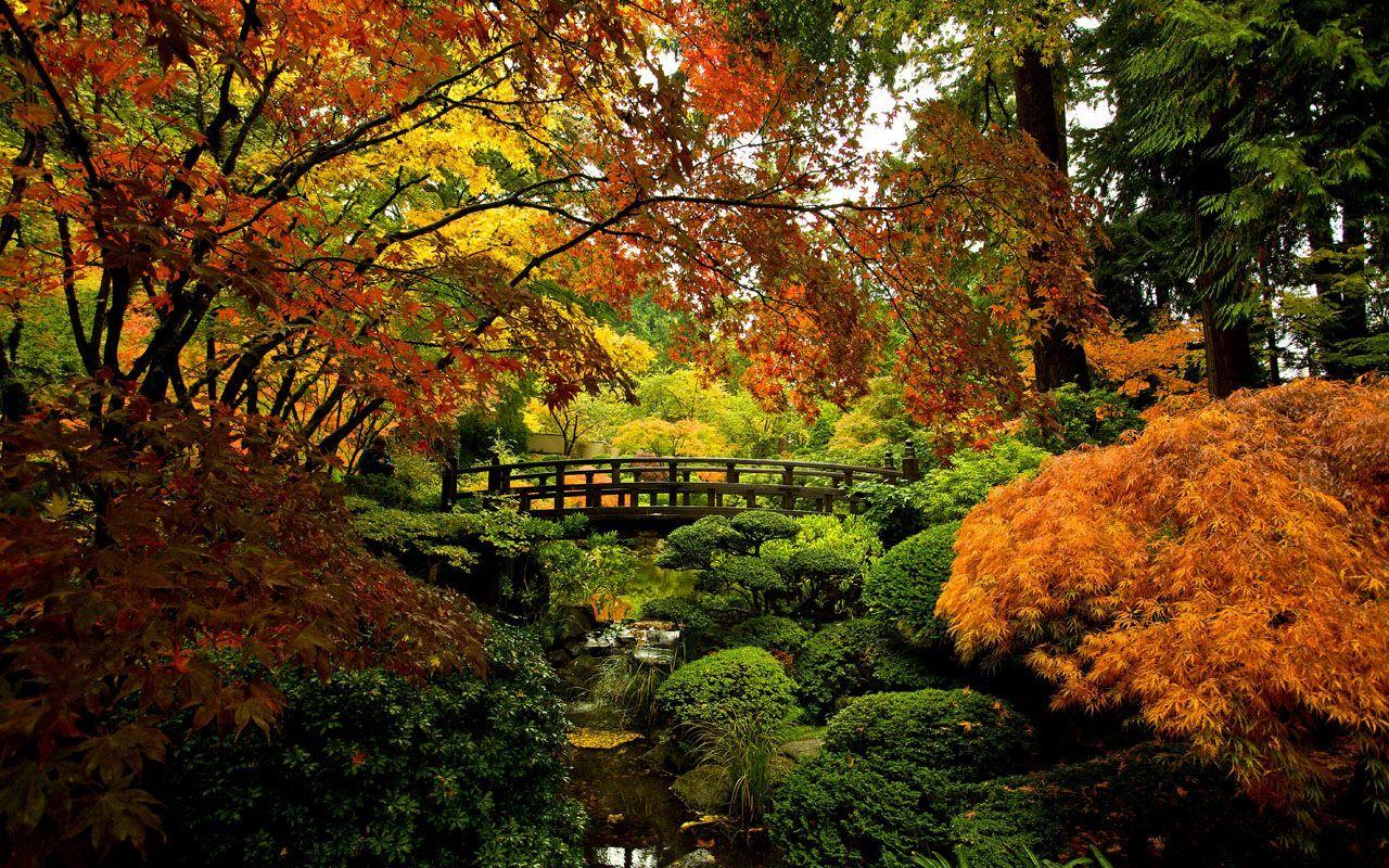 Portland Japanese Garden Wallpaper Free Portland