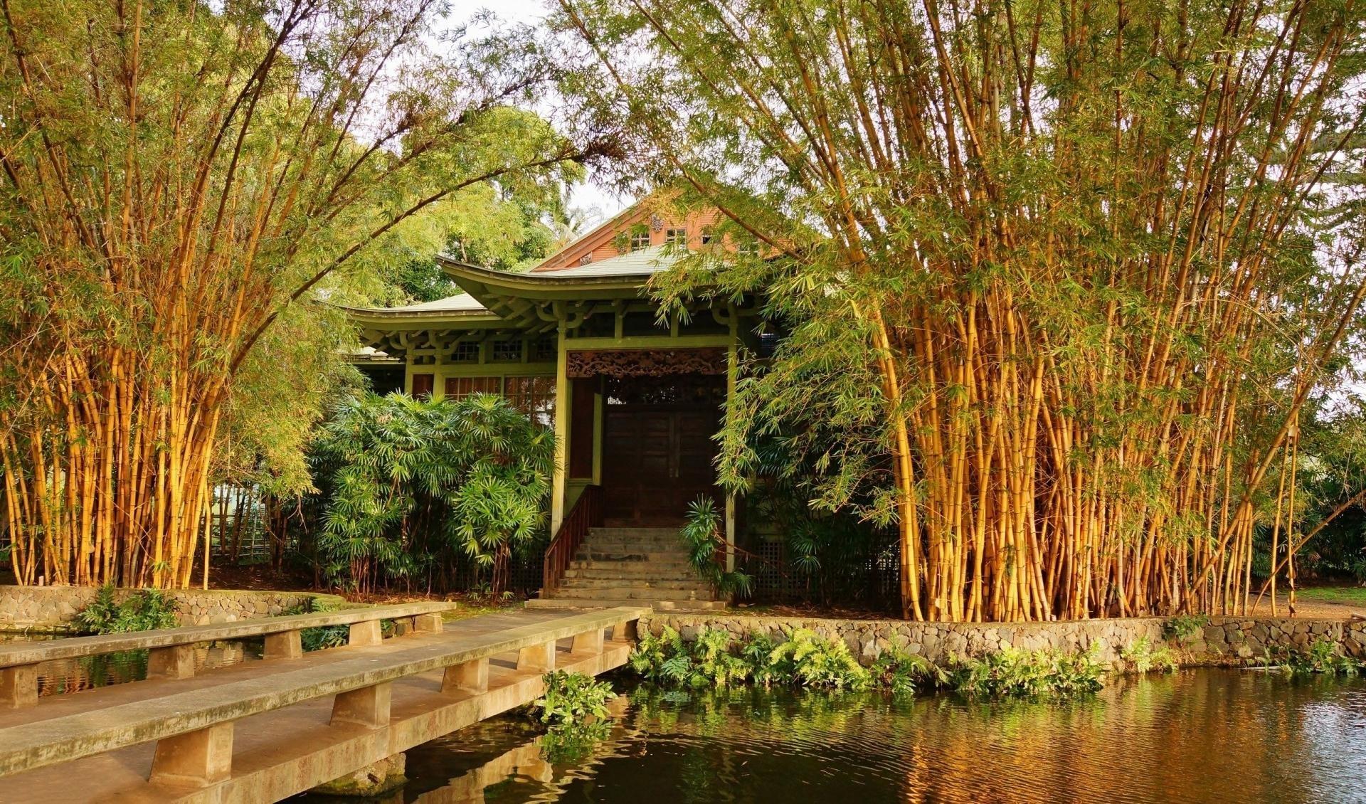 Japanese Gardens Wallpaper