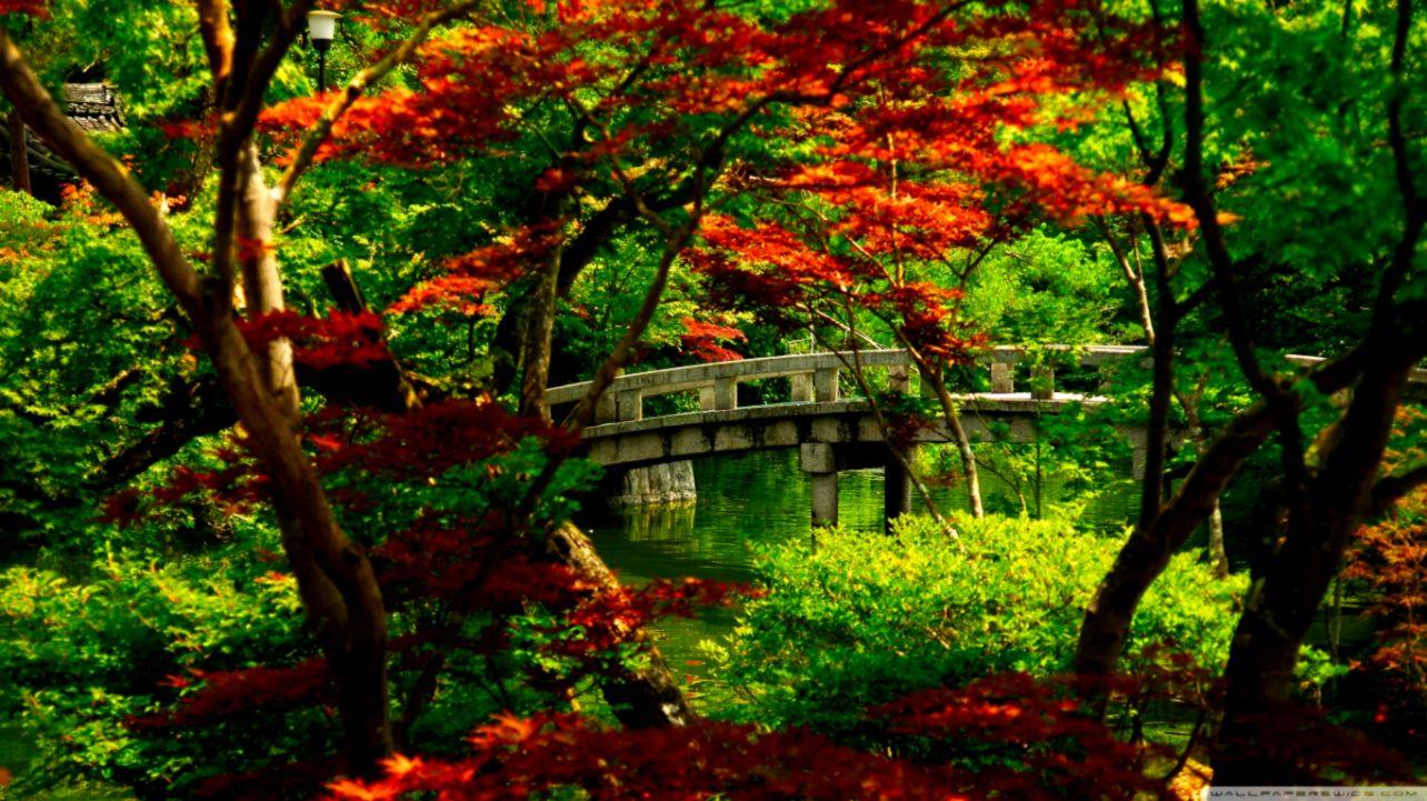 Free Japanese Garden Desktop Background