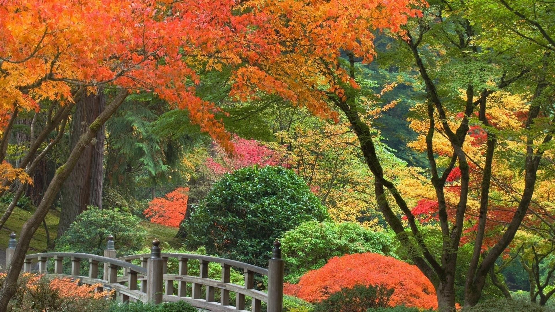 Japanese Garden Wallpaper (the best image in 2018)