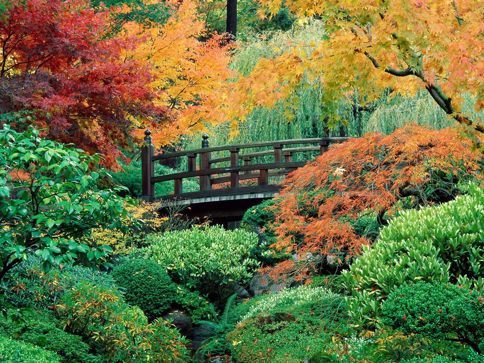 Portland Japanese Garden Wallpaper Desktop HD 1600 x 1200