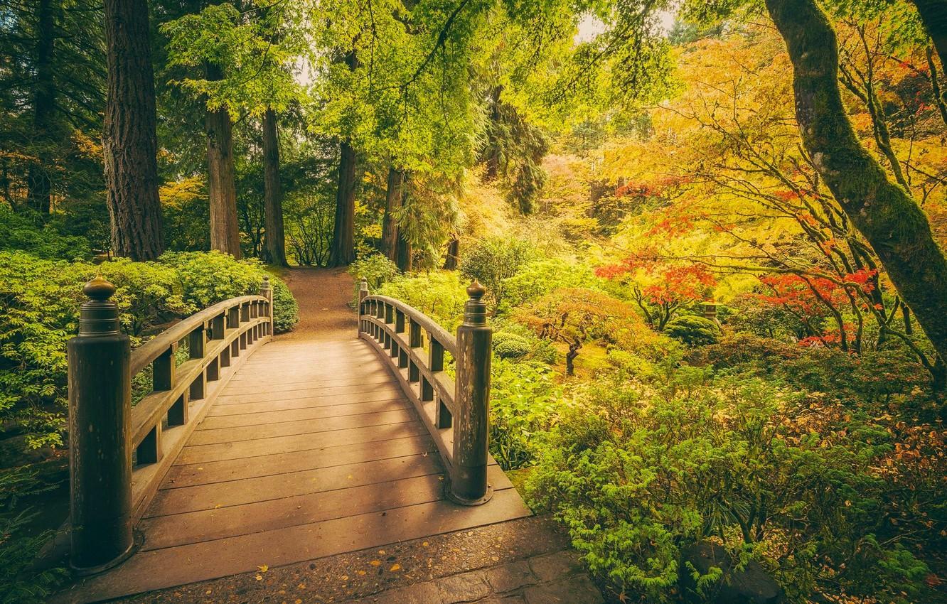 Wallpaper autumn, trees, Park, Oregon, Portland, the bridge, Japanese garden, Oregon, Portland, Portland Japanese Garden image for desktop, section пейзажи