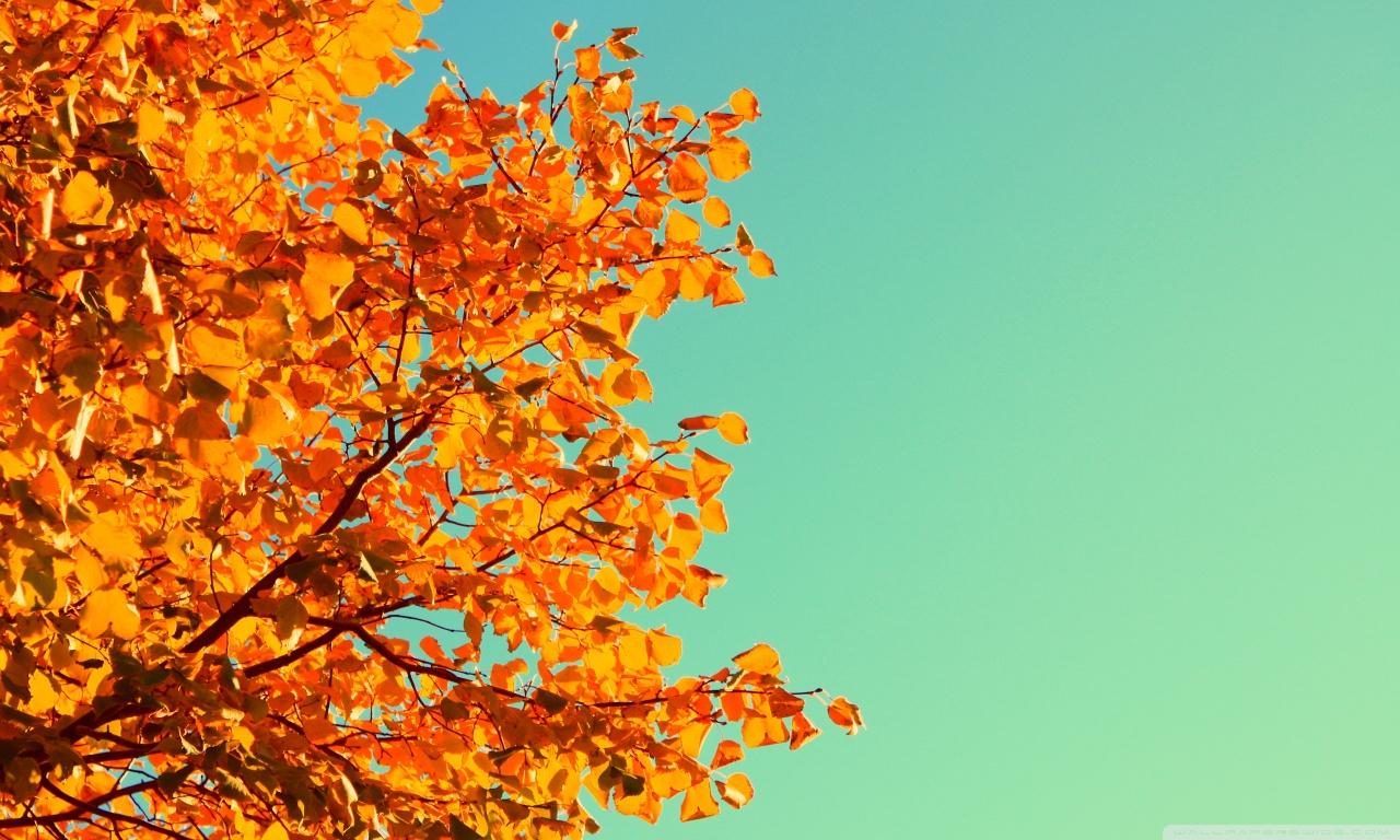 Autumn Colors ❤ 4K HD Desktop Wallpaper for 4K Ultra HD TV