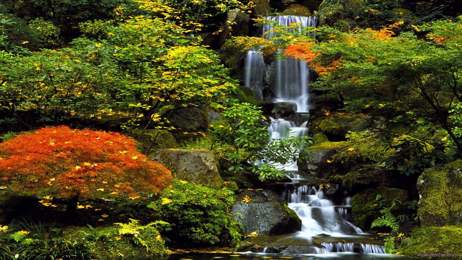 Japanese Garden Wallpaper