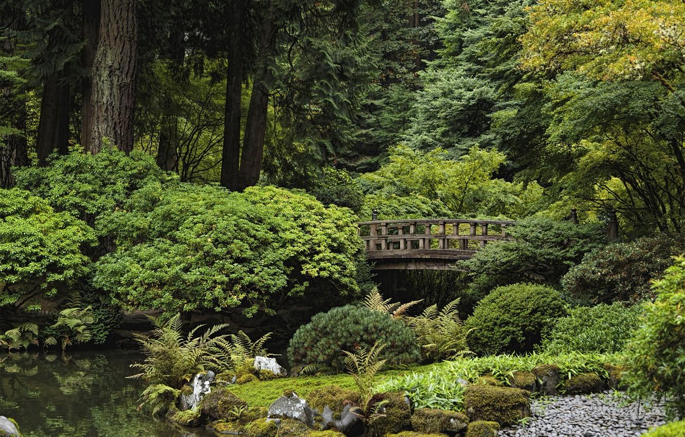Wallpaper trees, pond, Park, stones, USA, the bushes, Oregon