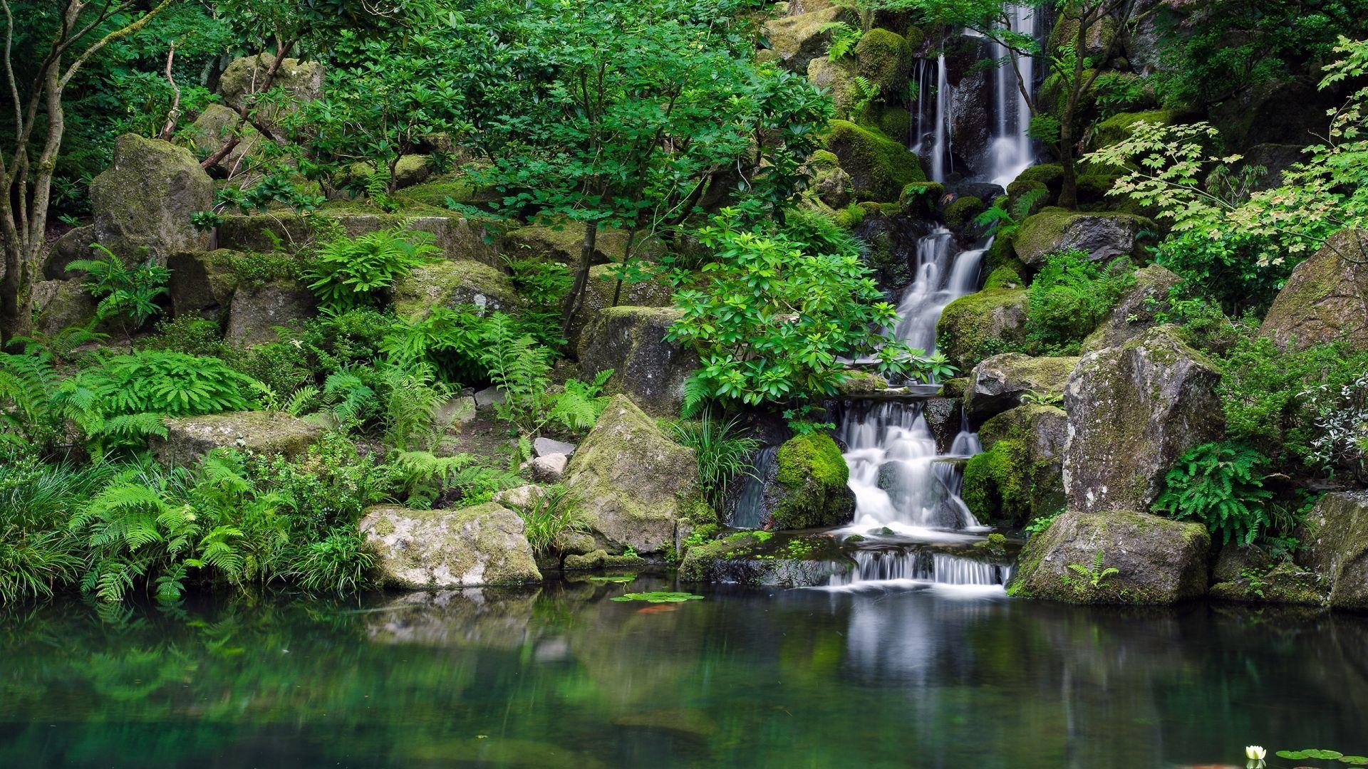 Download Wallpaper 1920x1080 Waterfall, River, Grass, Herbs